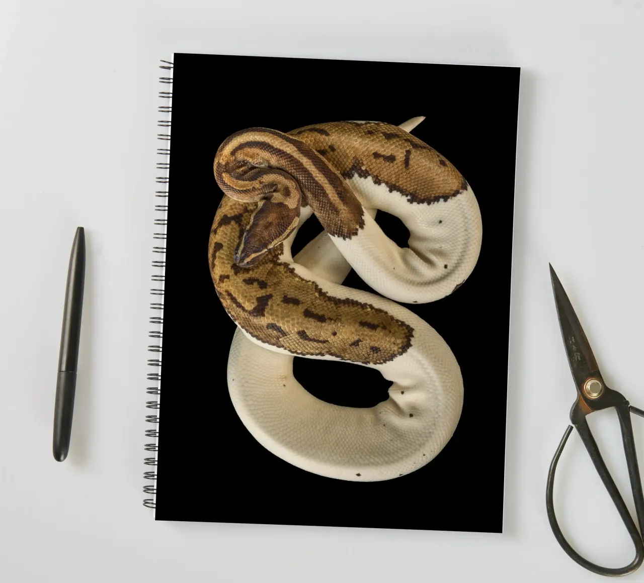 Braun & Weiß Python Ringbuch von Curious Collections by Marielle Leenders