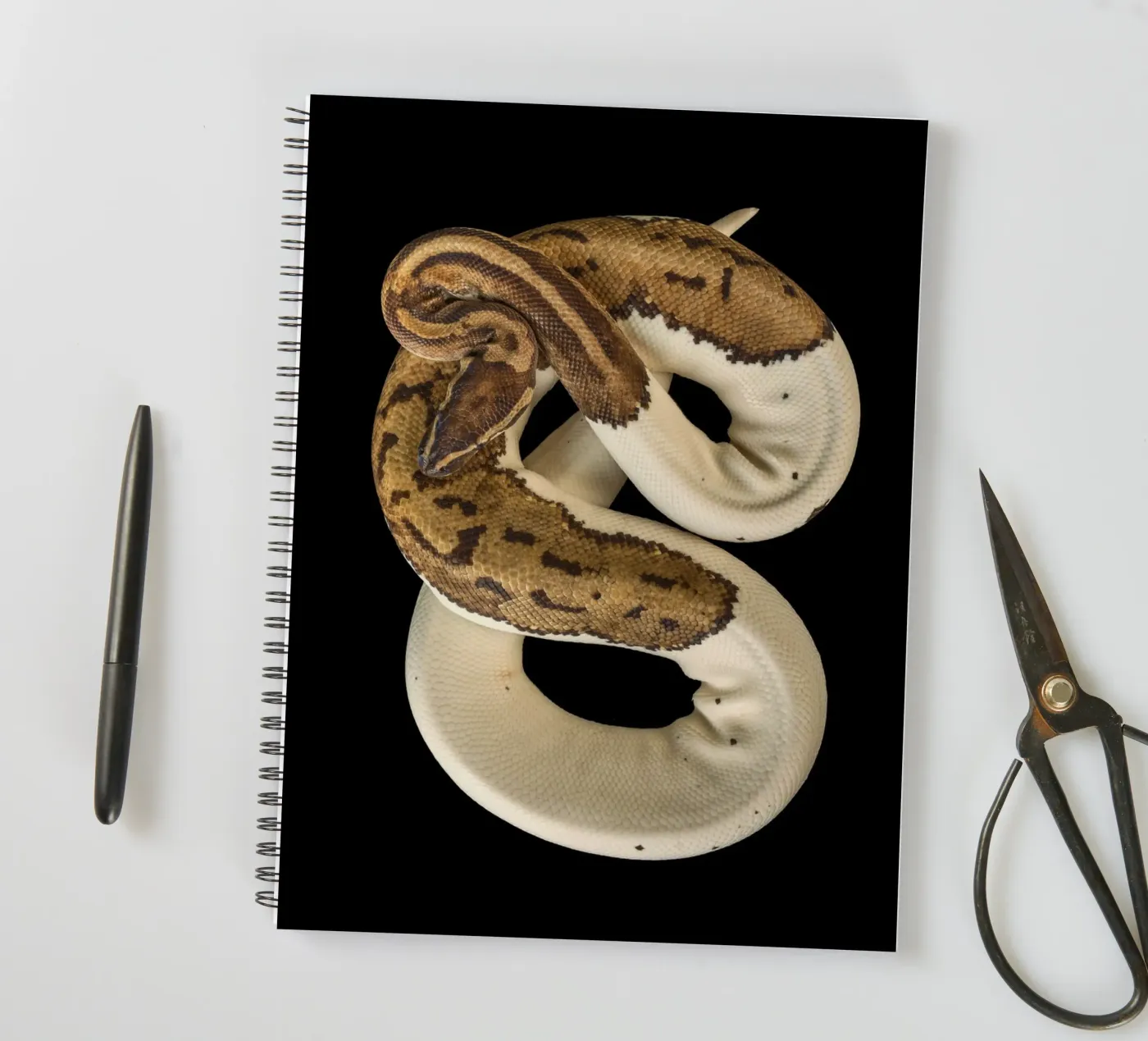 Brown & White Python spiral notebook by Curious Collections by Marielle Leenders