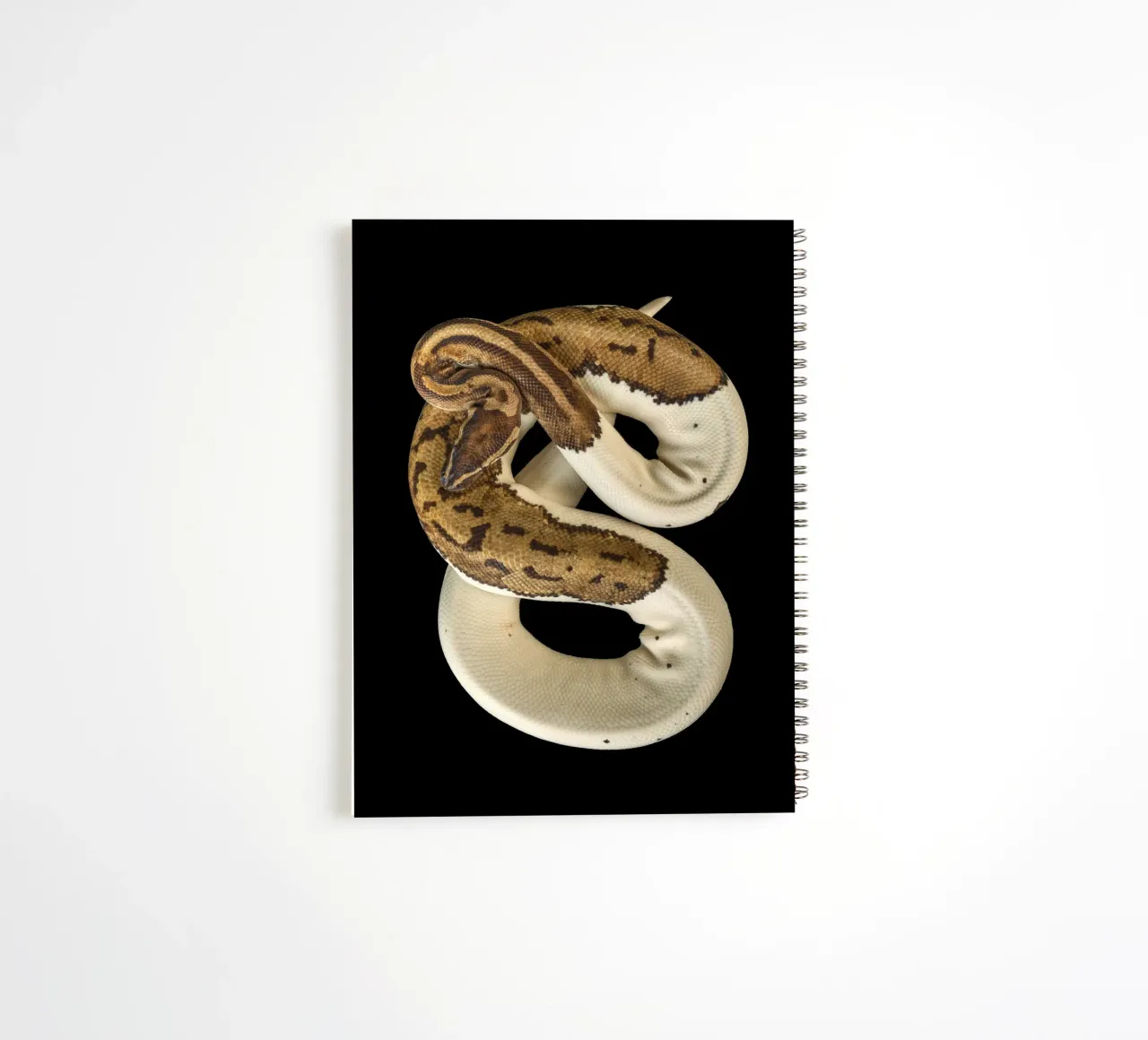 Braun & Weiß Python Ringbuch von Curious Collections by Marielle Leenders