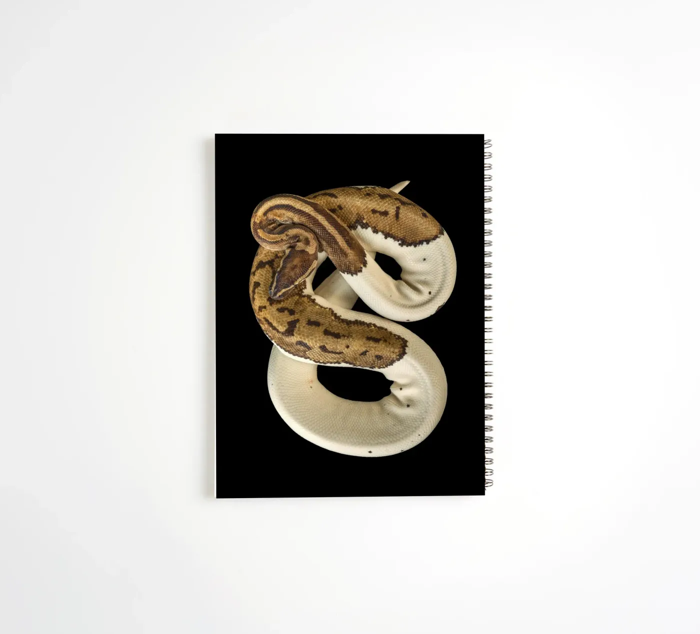 Brown & White Python spiral notebook by Curious Collections by Marielle Leenders