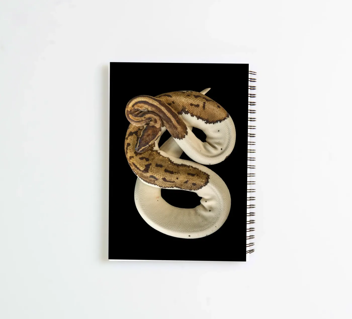 Brown & White Python spiral notebook by Curious Collections by Marielle Leenders