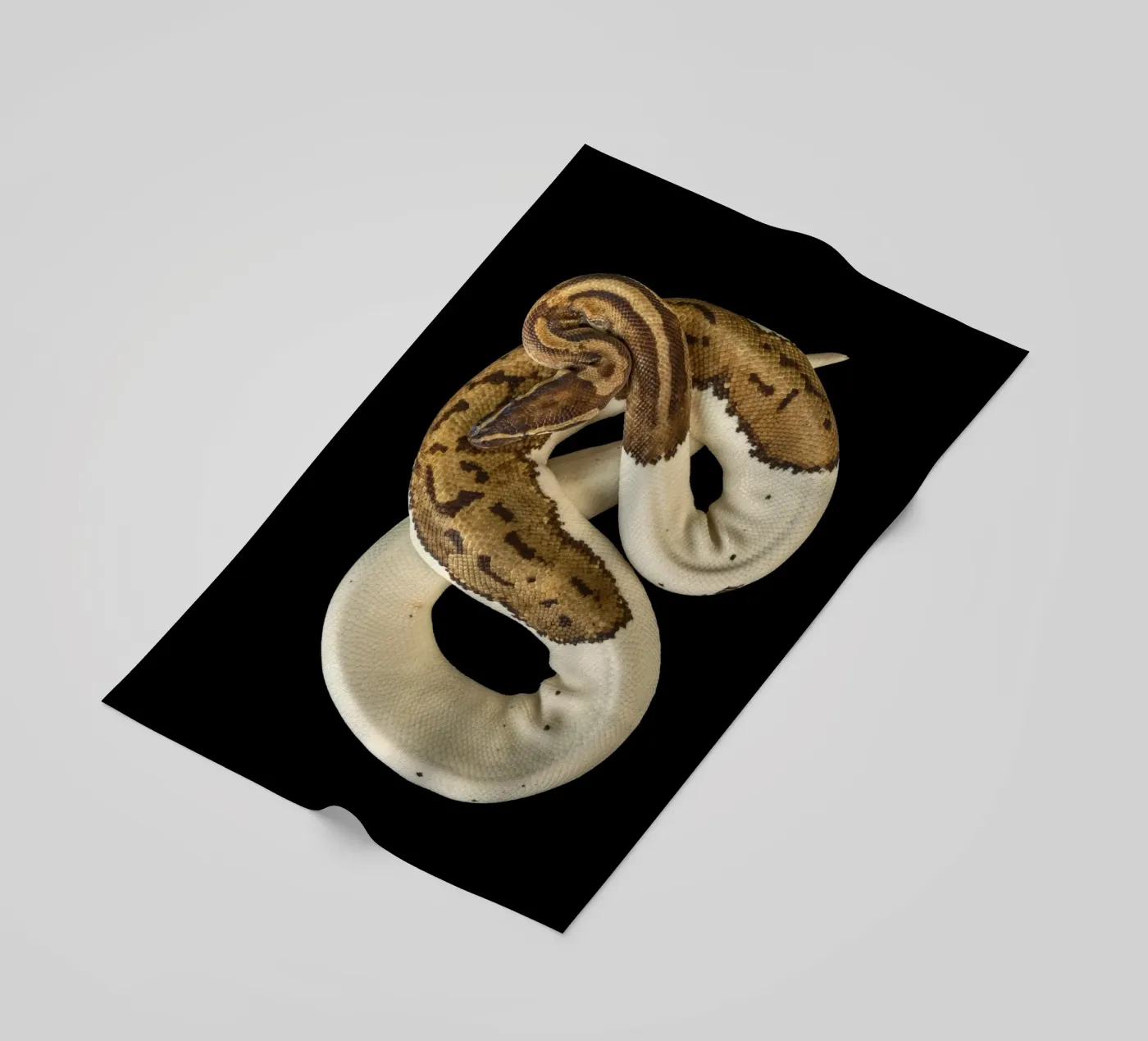 Bruine en witte python strandhanddoek van Curious Collections by Marielle Leenders