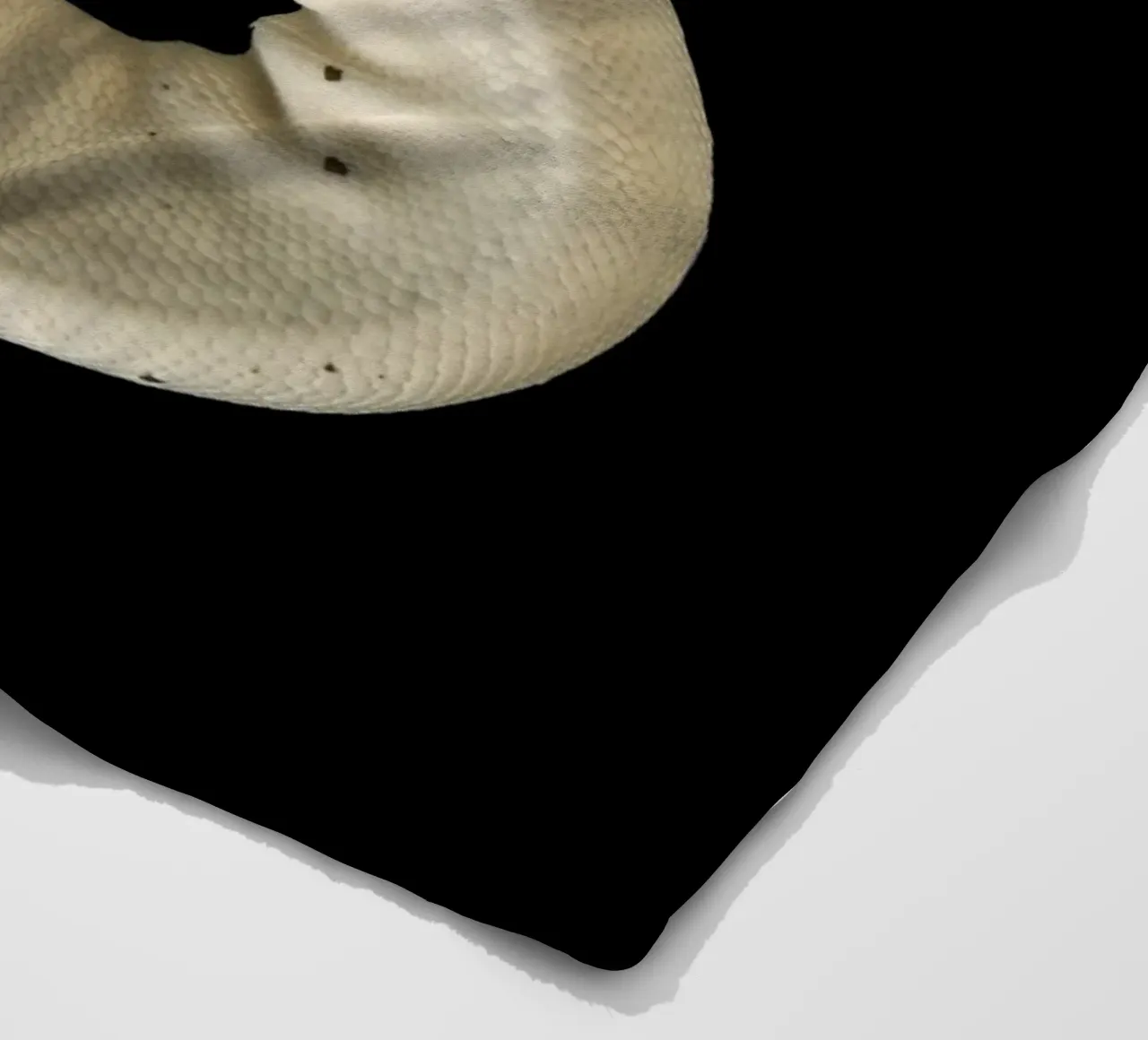 Braun & Weiß Python Fleecedecke von Curious Collections by Marielle Leenders