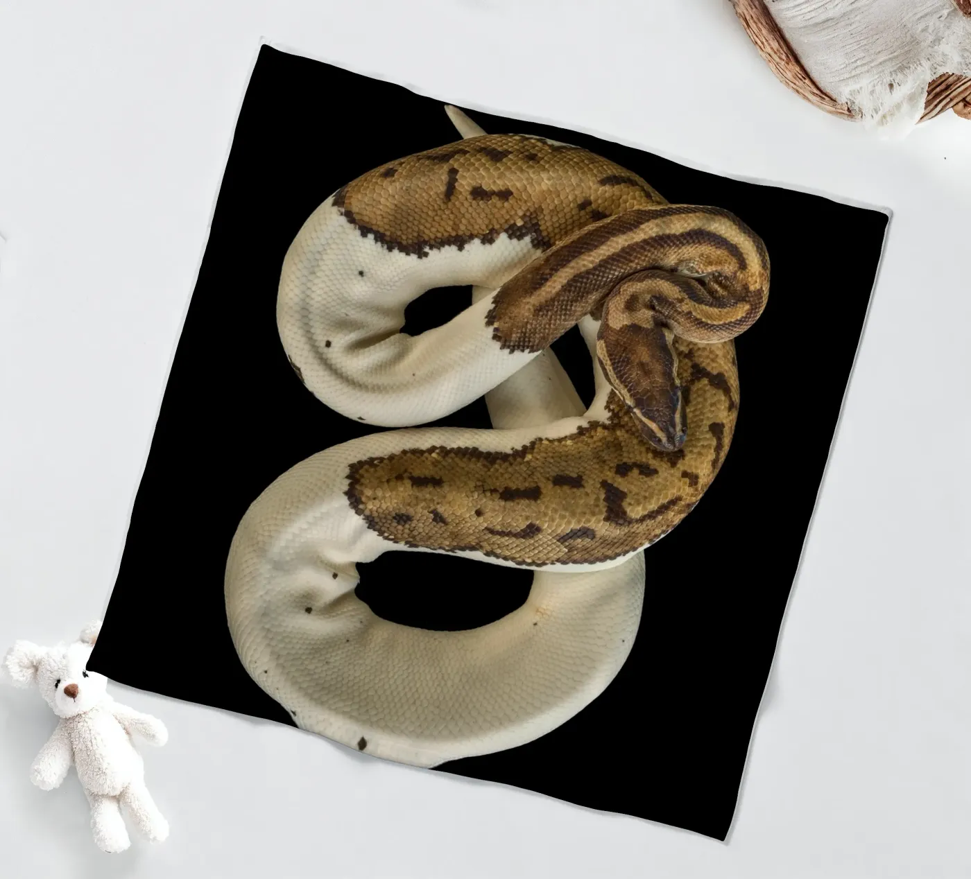 Braun & Weiß Python Fleecedecke von Curious Collections by Marielle Leenders
