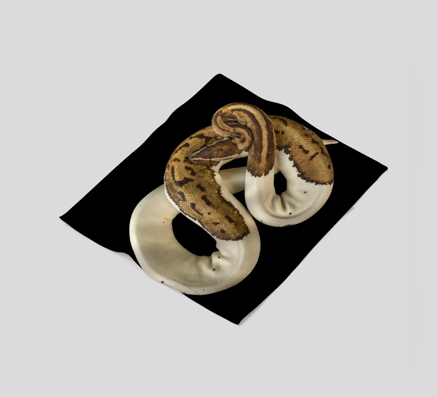 Braun & Weiß Python Fleecedecke von Curious Collections by Marielle Leenders