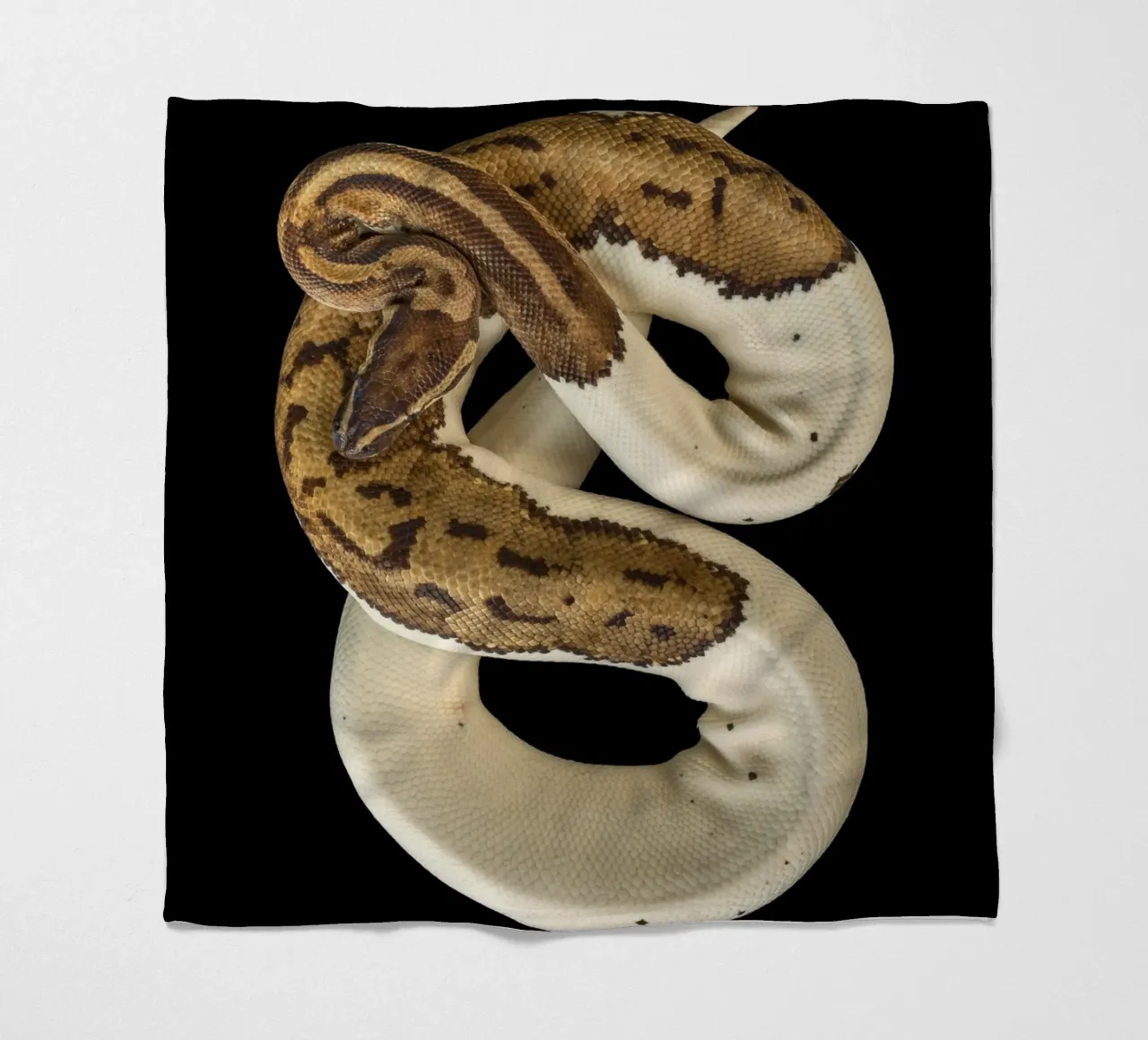 Braun & Weiß Python Fleecedecke von Curious Collections by Marielle Leenders