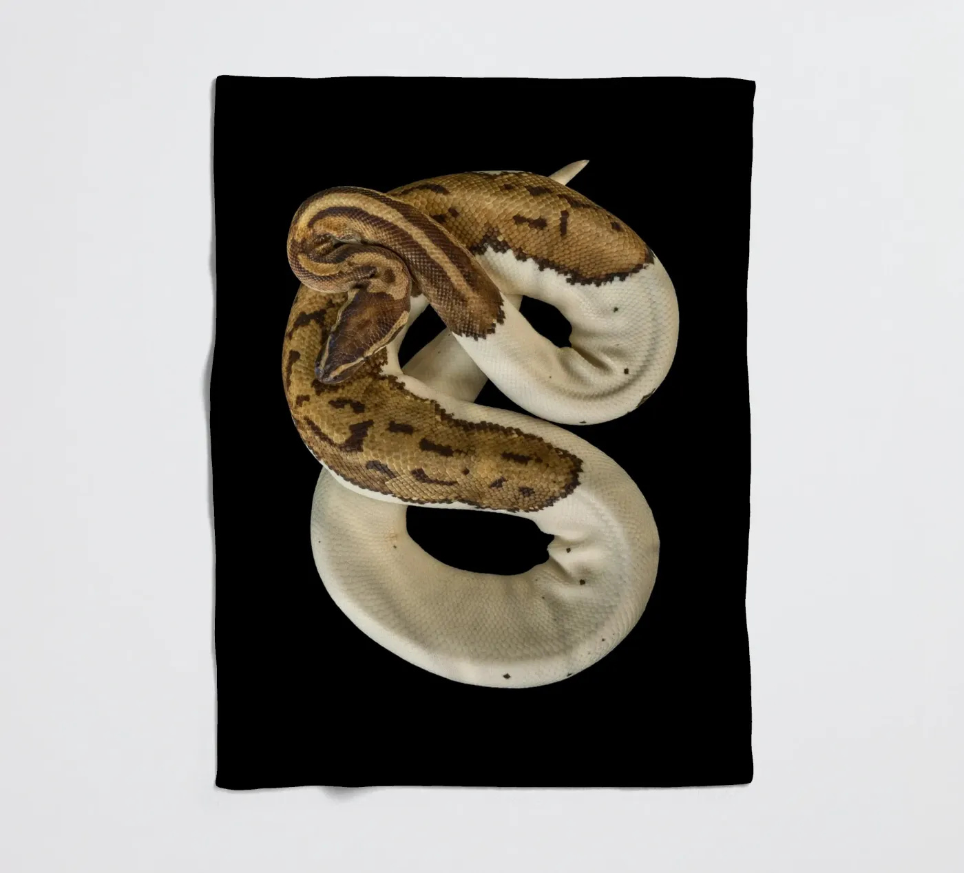 Braun & Weiß Python Fleecedecke von Curious Collections by Marielle Leenders