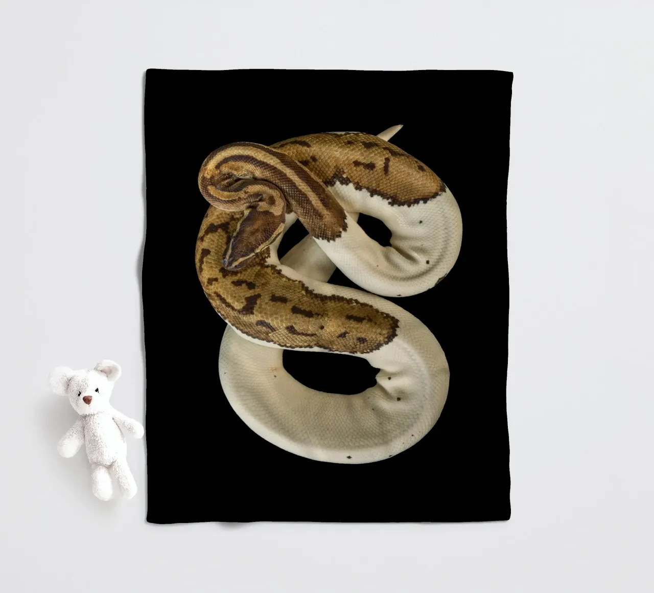 Braun & Weiß Python Fleecedecke von Curious Collections by Marielle Leenders