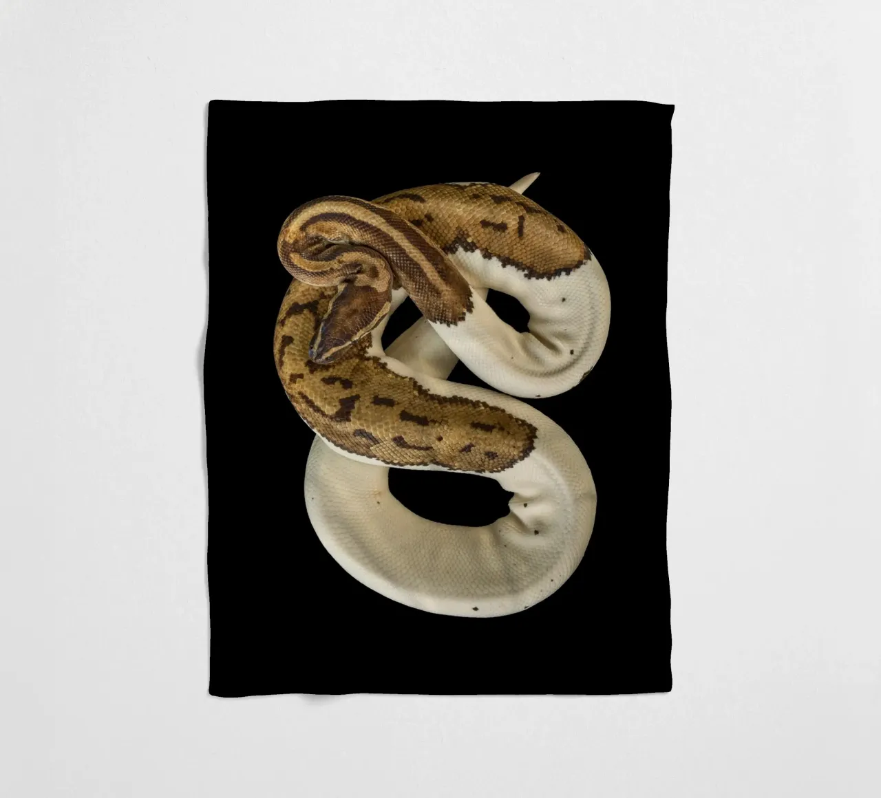 Braun & Weiß Python Fleecedecke von Curious Collections by Marielle Leenders