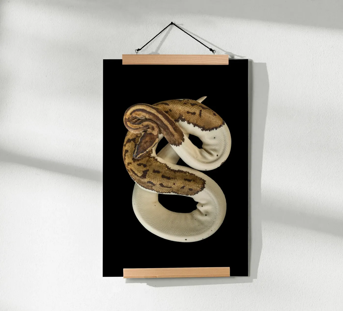 Brown & White Python poster by Curious Collections by Marielle Leenders
