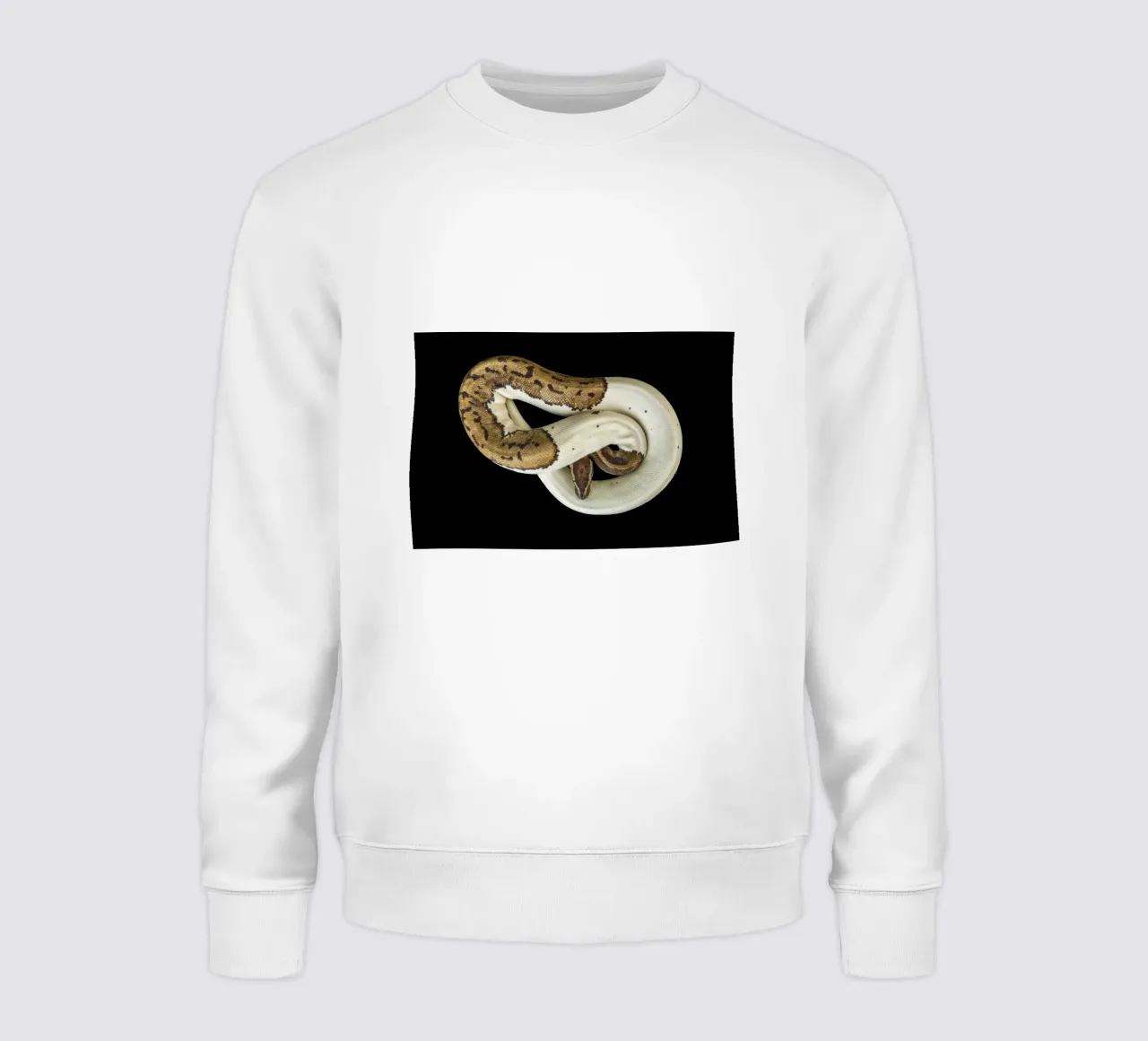 Bruine en witte python sweatshirt van Curious Collections by Marielle Leenders