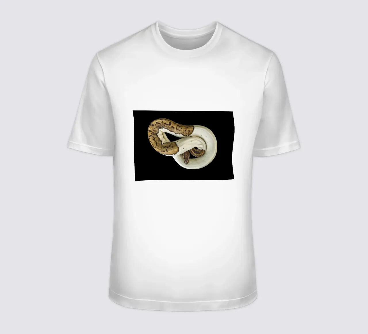 Braun & Weiß Python T-Shirt von Curious Collections by Marielle Leenders