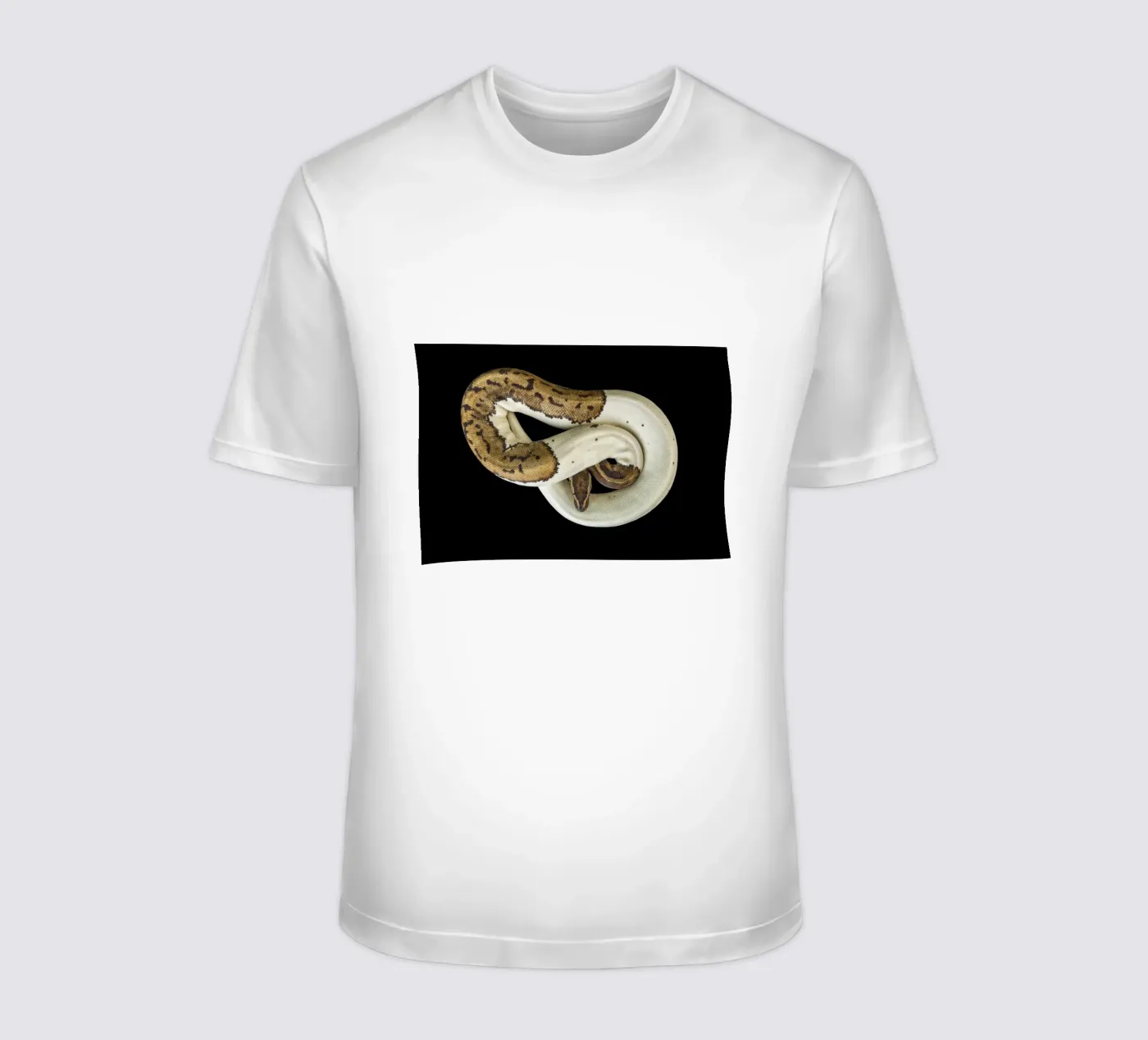 Pitone marrone e bianco t-shirt da Curious Collections by Marielle Leenders
