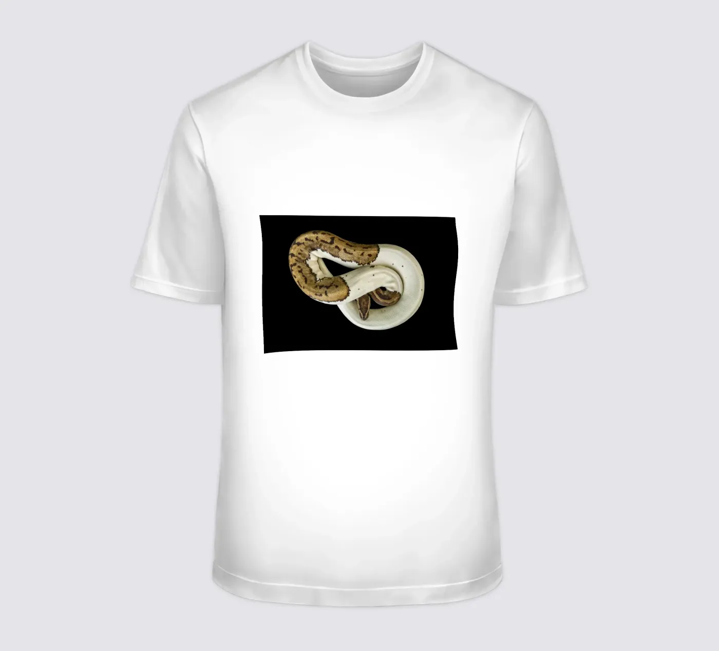 Pitone marrone e bianco t-shirt da Curious Collections by Marielle Leenders