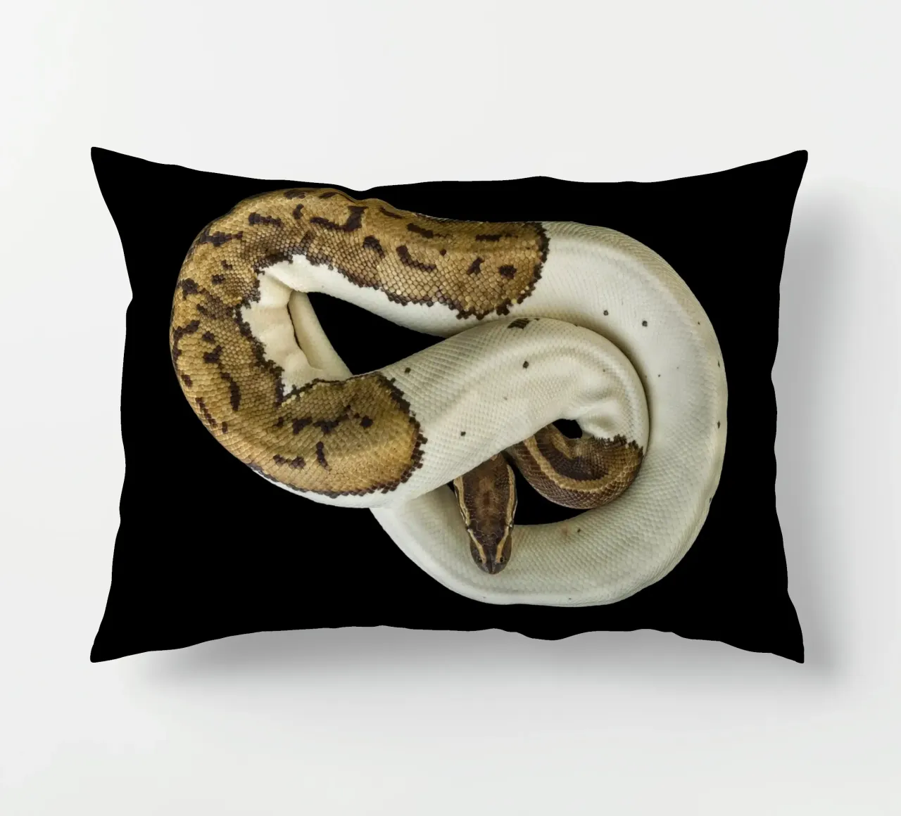 Pitone marrone e bianco cuscino da Curious Collections by Marielle Leenders