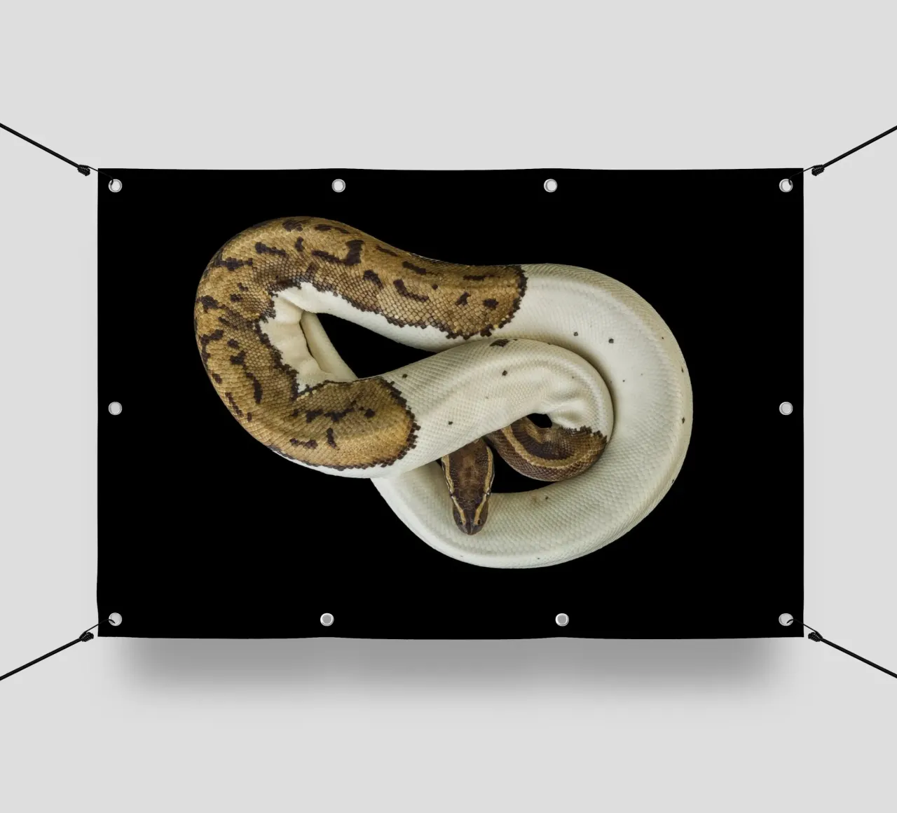 Braun & Weiß Python PVC Plane von Curious Collections by Marielle Leenders