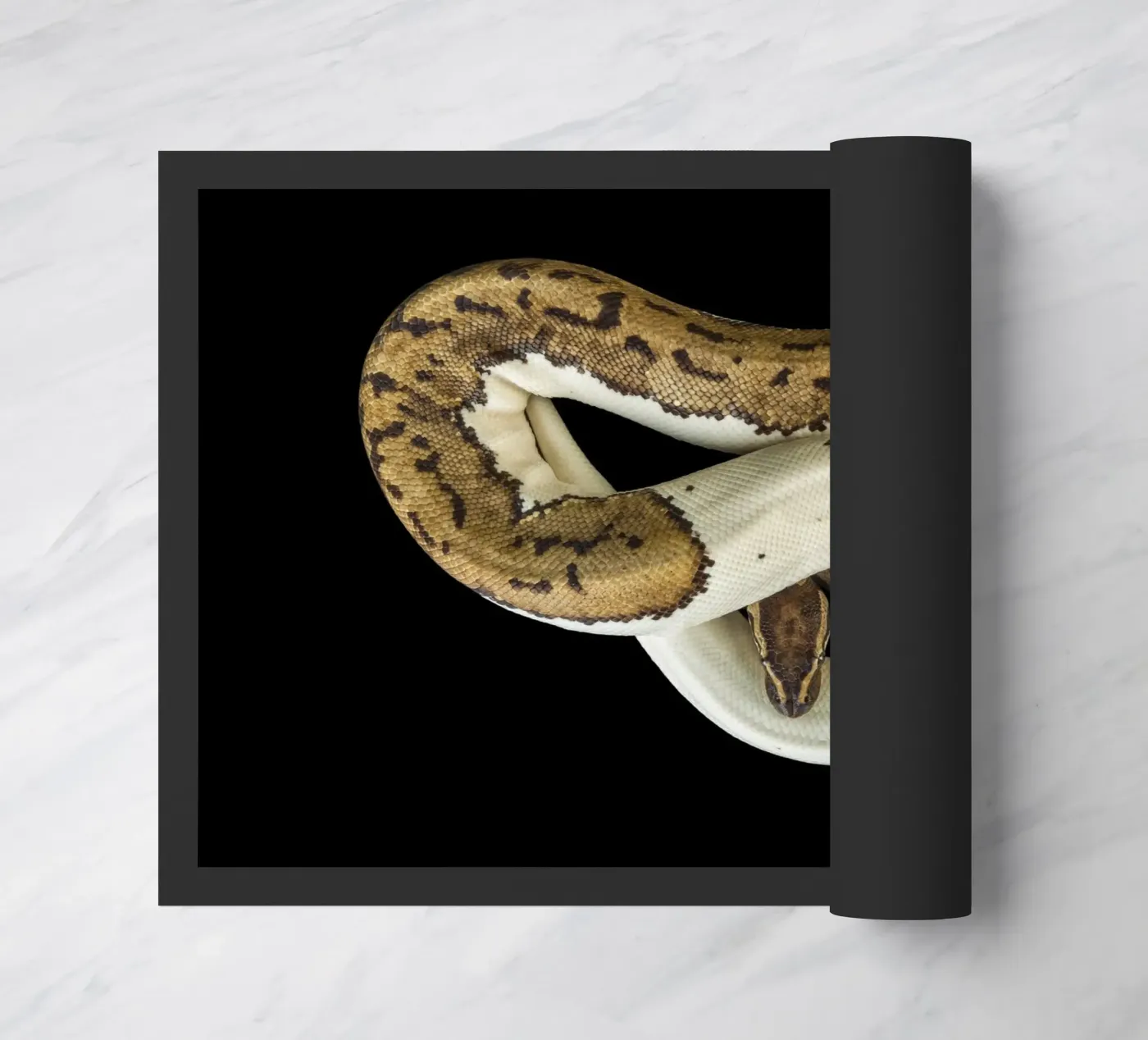 Brown & White Python Fußmatte von Curious Collections by Marielle Leenders