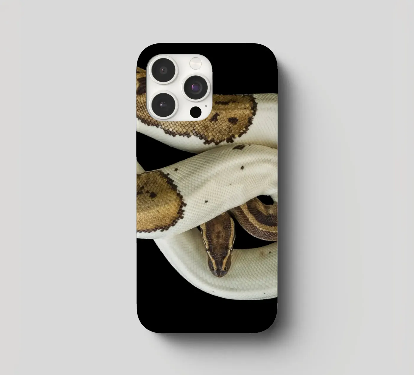 Brown & White Python iphone case by Curious Collections by Marielle Leenders