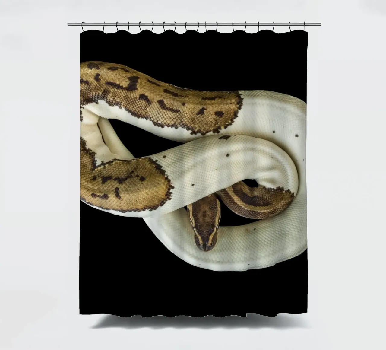Braun & Weiß Python Duschvorhang von Curious Collections by Marielle Leenders