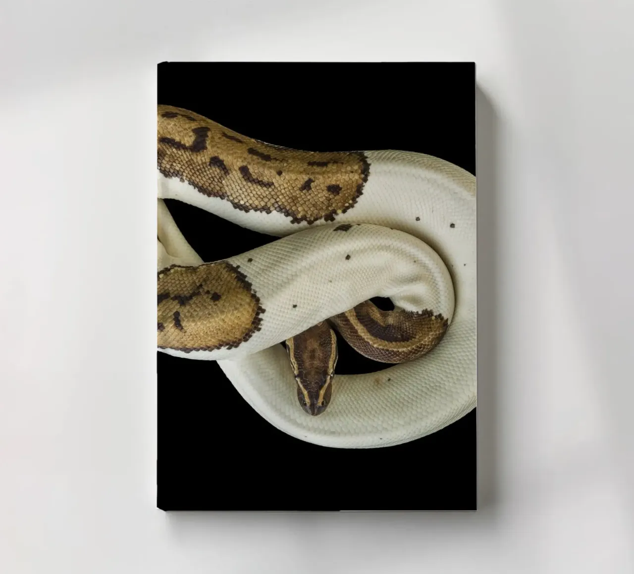 Brown & White Python notebook by Curious Collections by Marielle Leenders