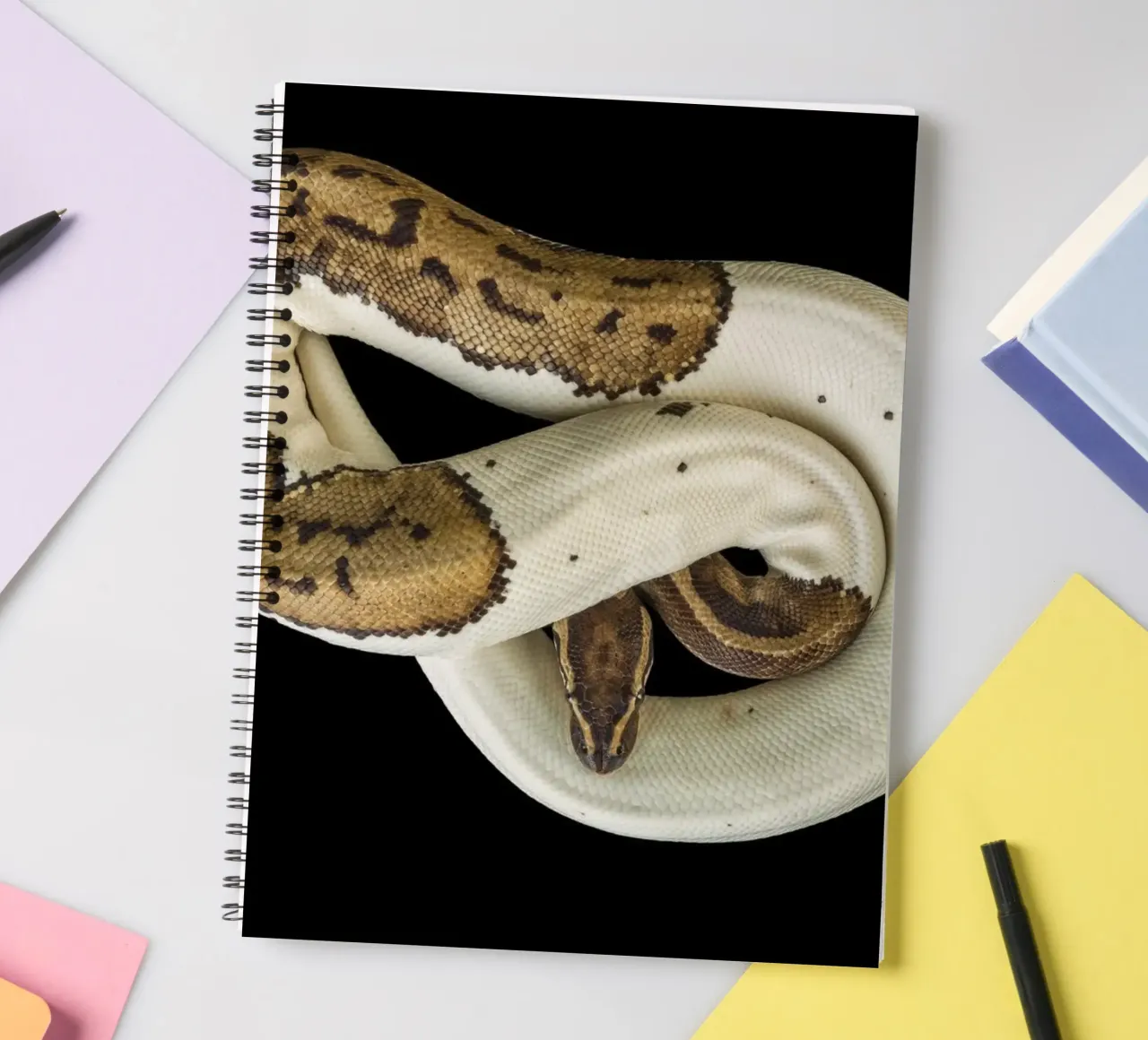 Braun & Weiß Python Ringbuch von Curious Collections by Marielle Leenders