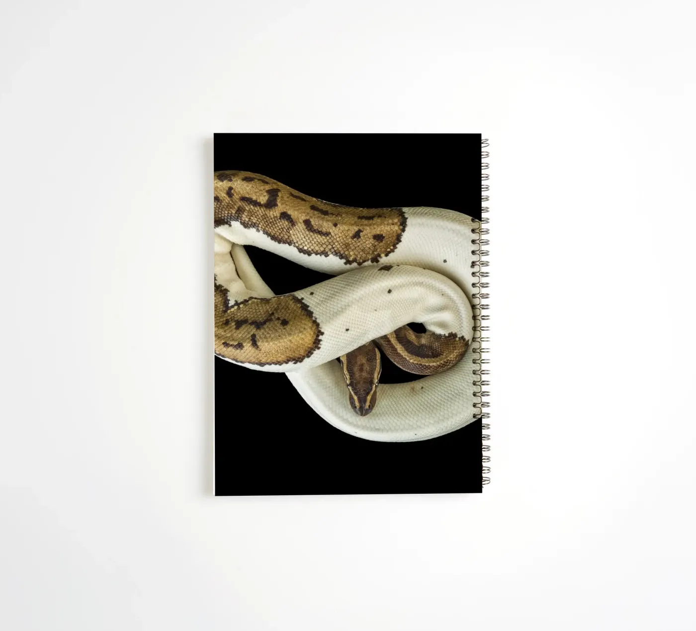 Brown & White Python spiral notebook by Curious Collections by Marielle Leenders