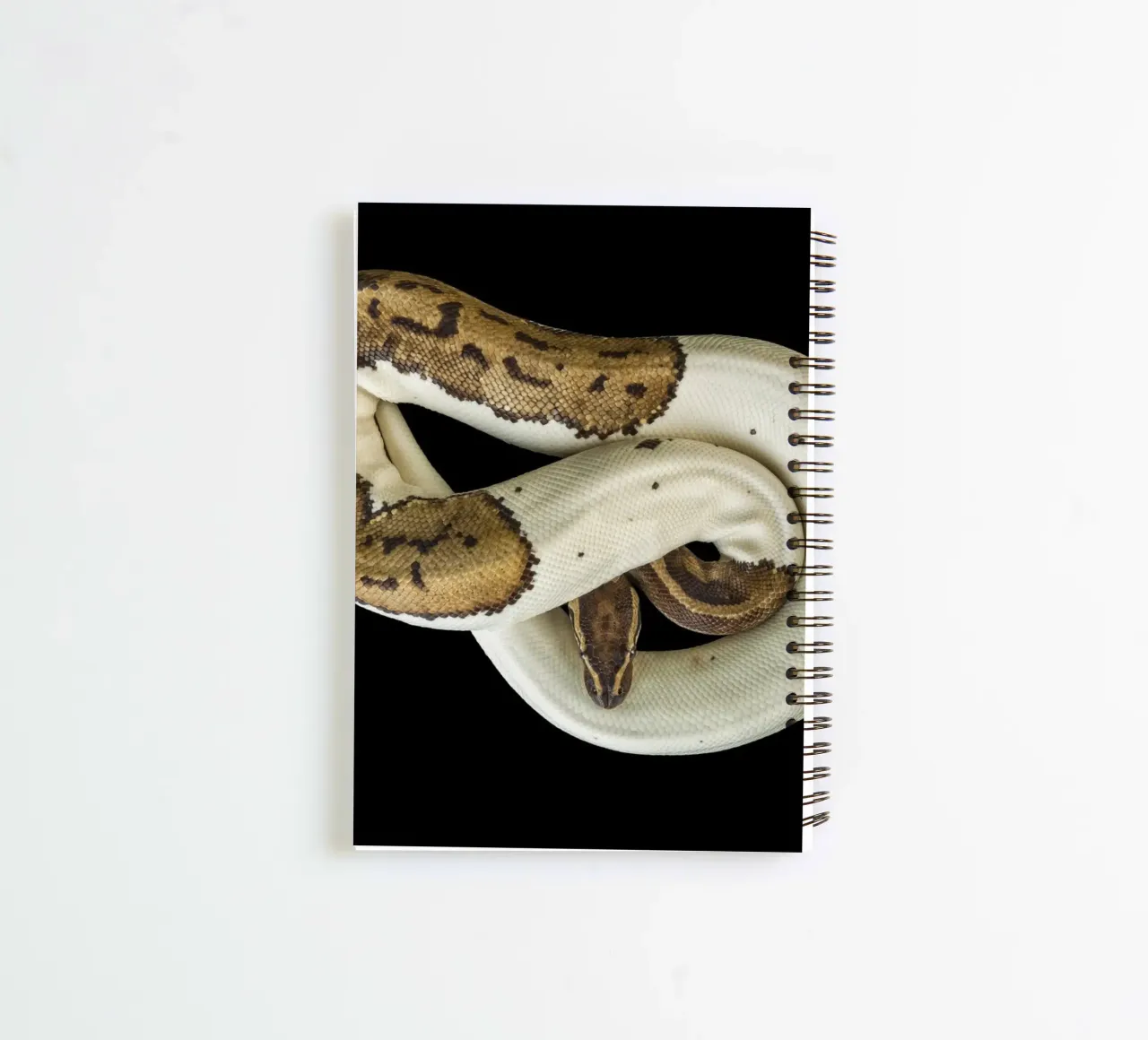 Braun & Weiß Python Ringbuch von Curious Collections by Marielle Leenders