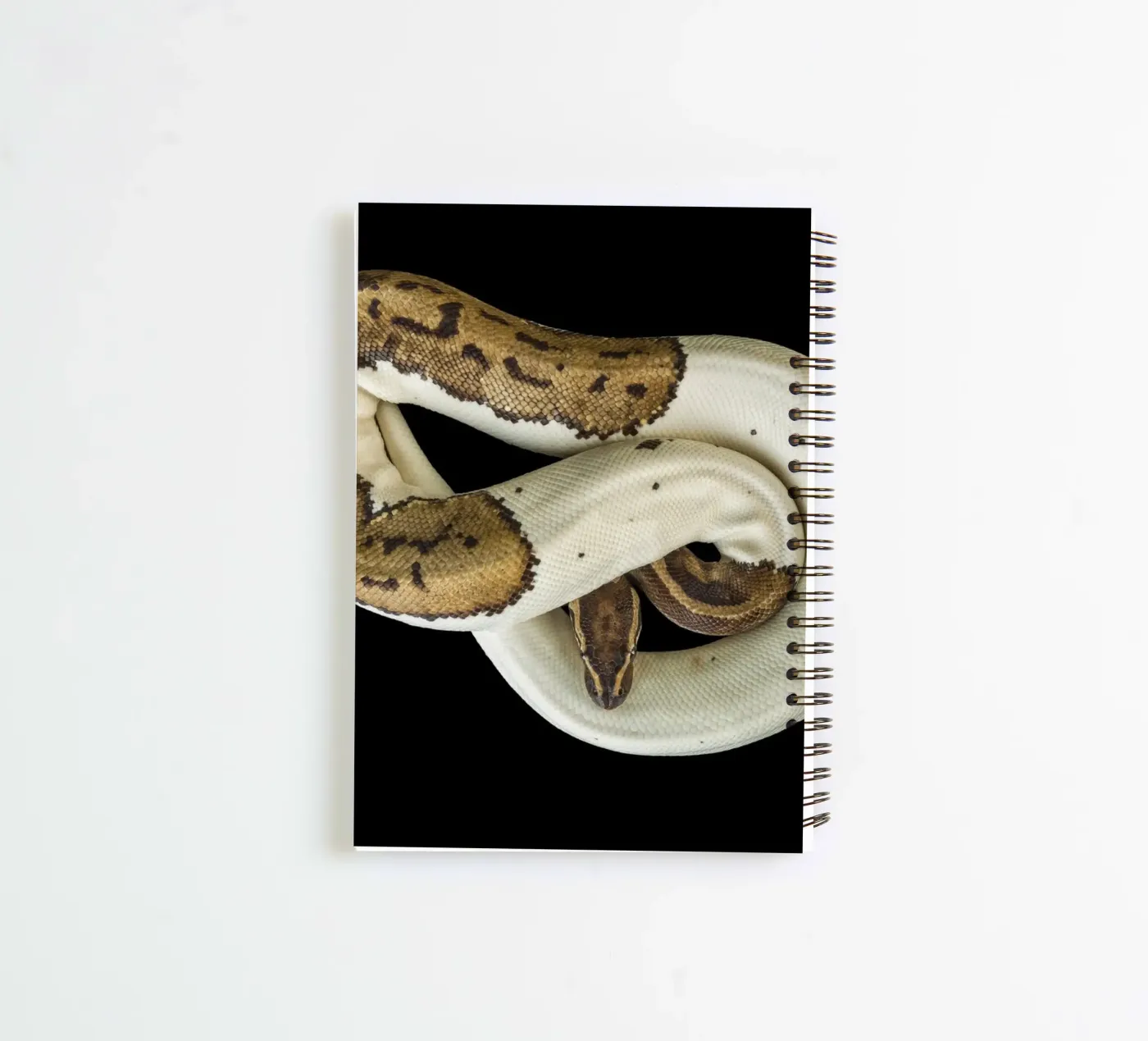 Brown & White Python spiral notebook by Curious Collections by Marielle Leenders