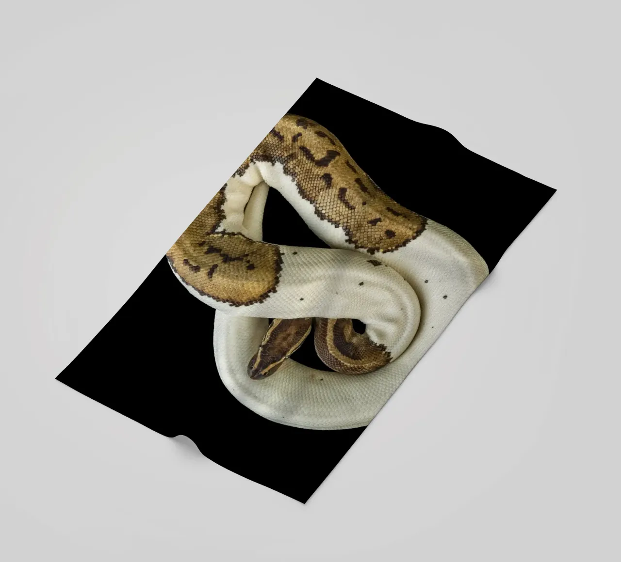 Bruine en witte python strandhanddoek van Curious Collections by Marielle Leenders