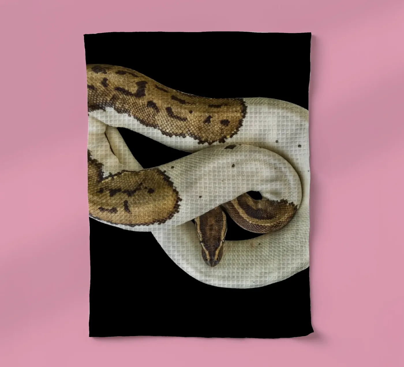 Brown & White Python Geschirrtuch von Curious Collections by Marielle Leenders