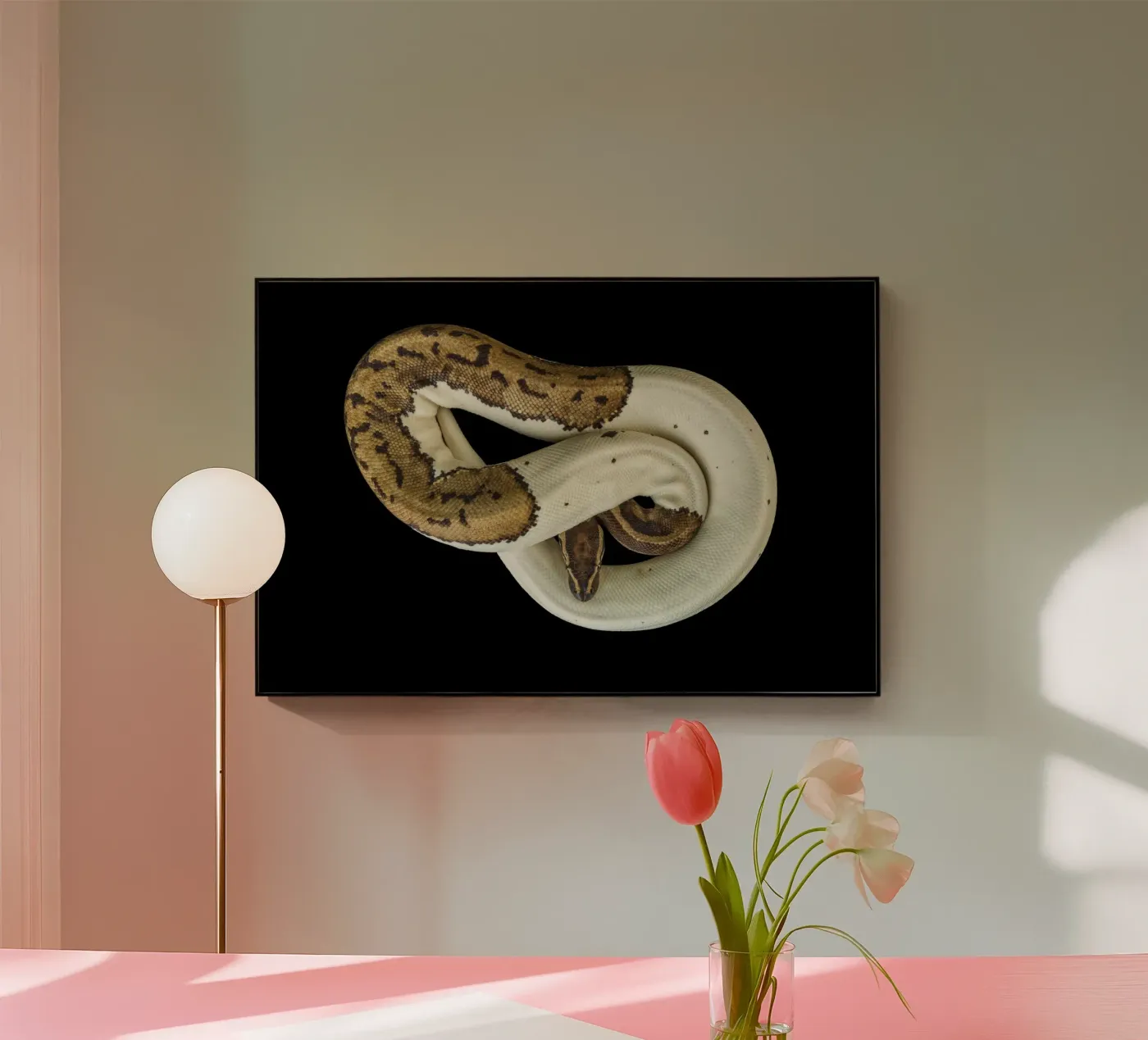 Python marron et blanc plexiglas de Curious Collections by Marielle Leenders