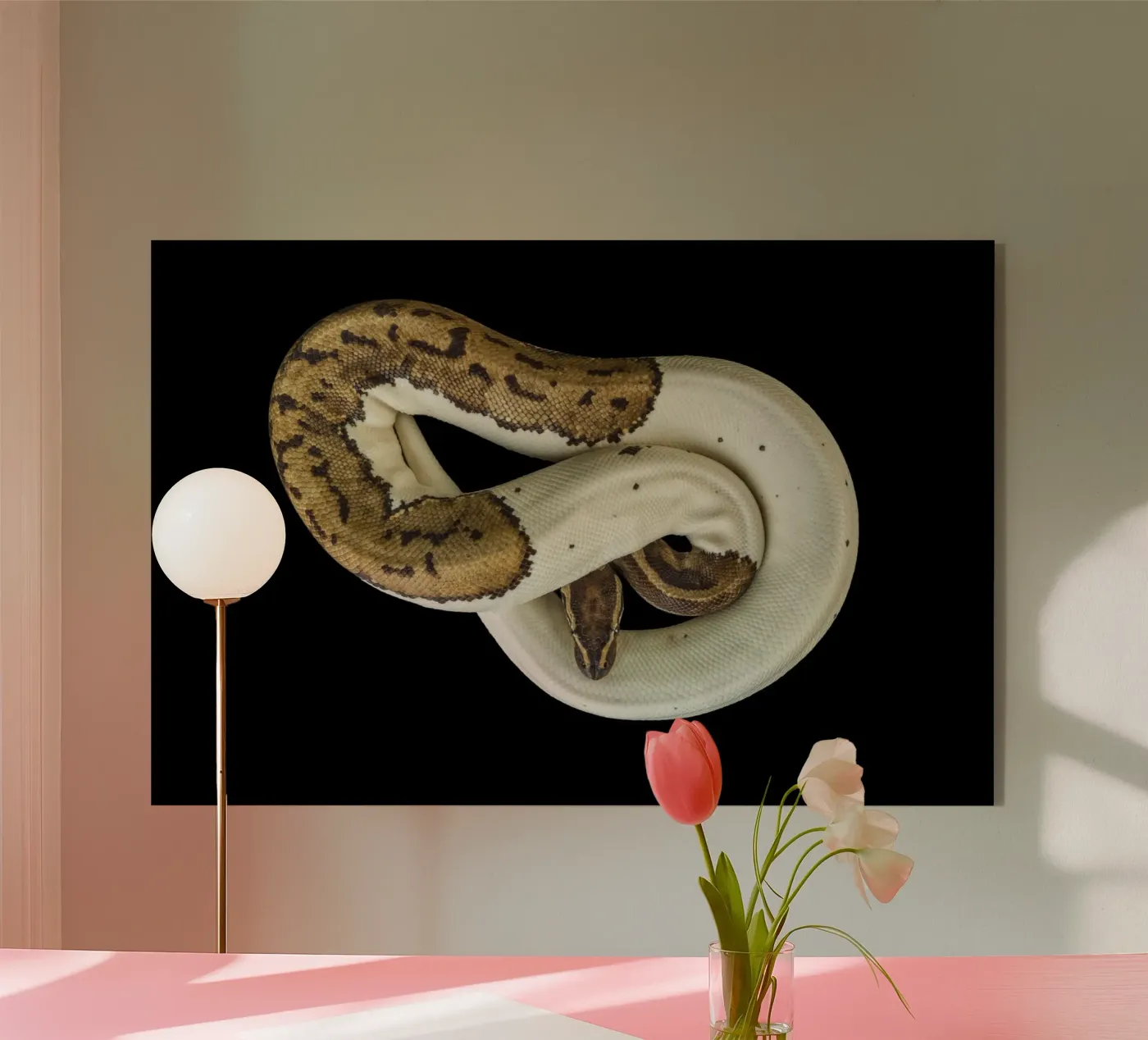 Python marron et blanc plexiglas de Curious Collections by Marielle Leenders