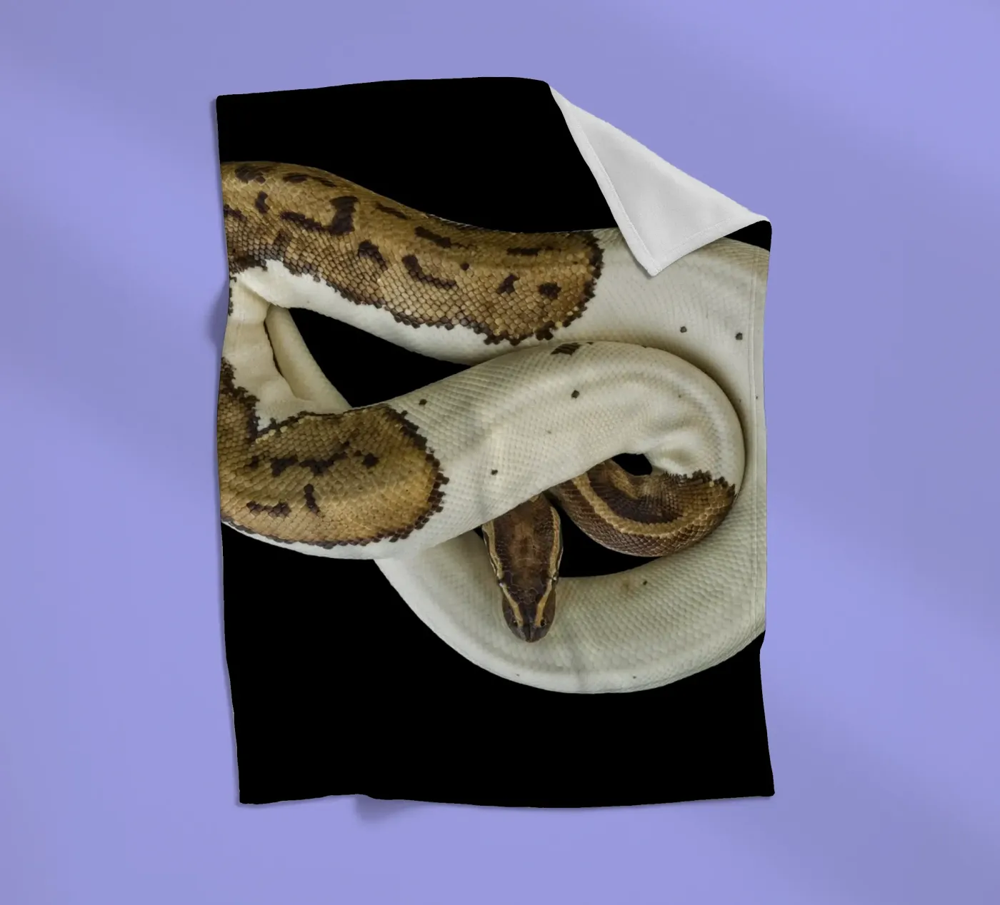 Brown & White Python coperta in pile da Curious Collections by Marielle Leenders