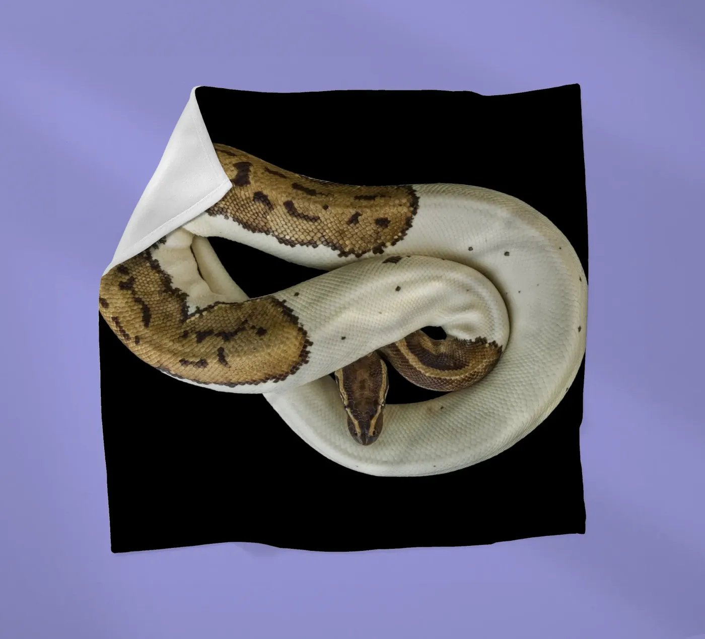 Brown & White Python fleece blanket by Curious Collections by Marielle Leenders
