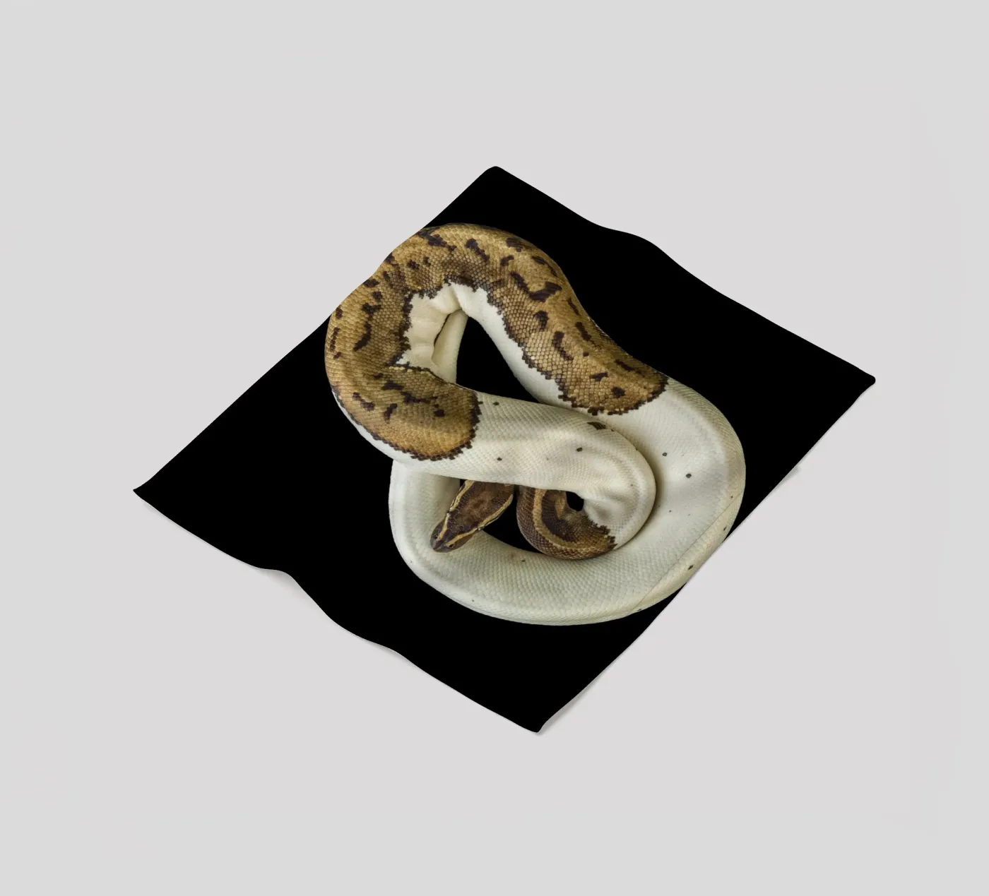 Brown & White Python fleece blanket by Curious Collections by Marielle Leenders