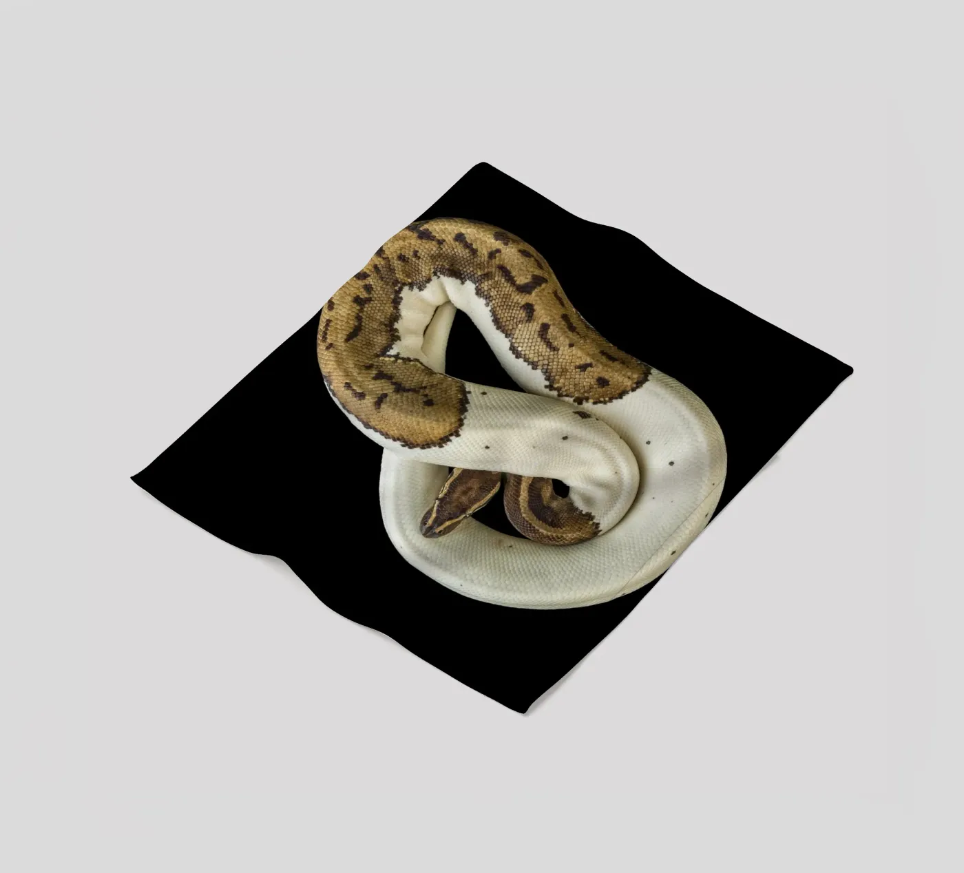 Brown & White Python coperta in pile da Curious Collections by Marielle Leenders