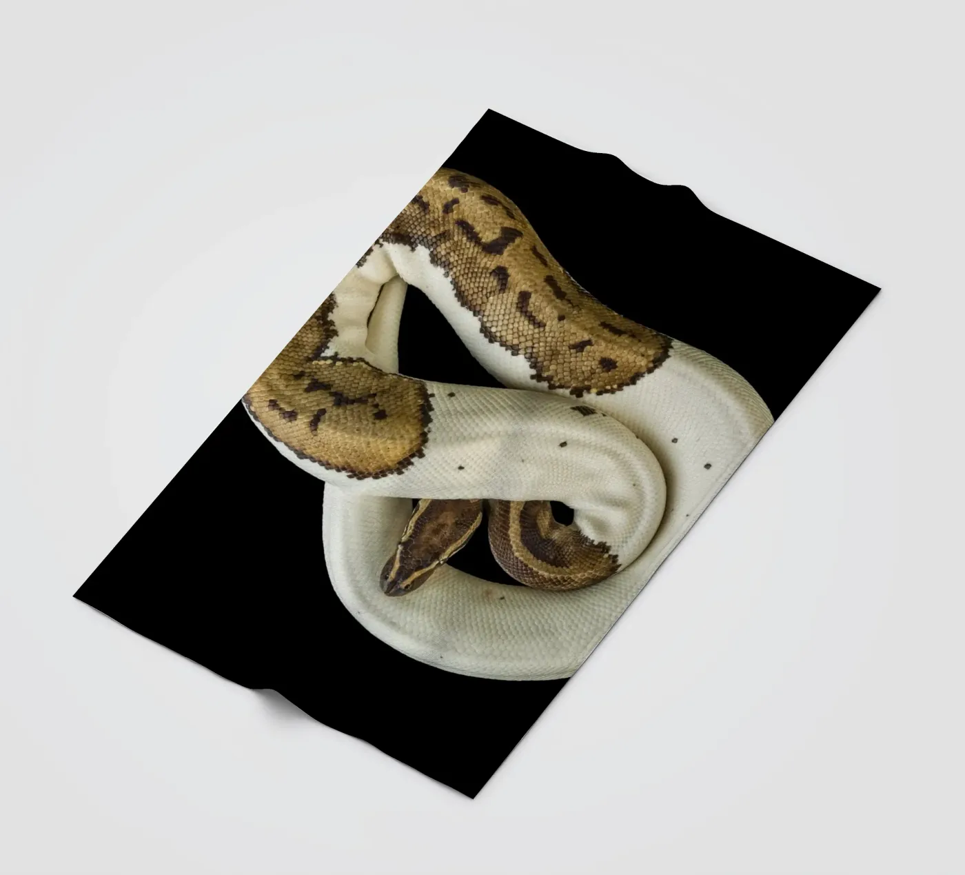 Brown & White Python fleece blanket by Curious Collections by Marielle Leenders