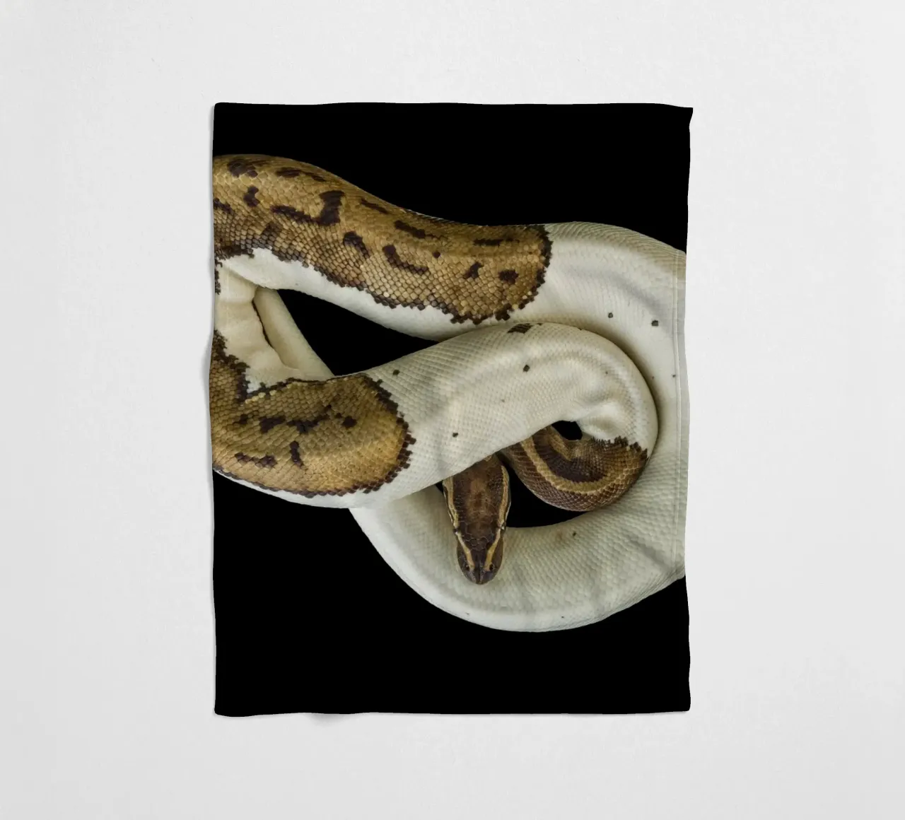 Braun & Weiß Python Fleecedecke von Curious Collections by Marielle Leenders