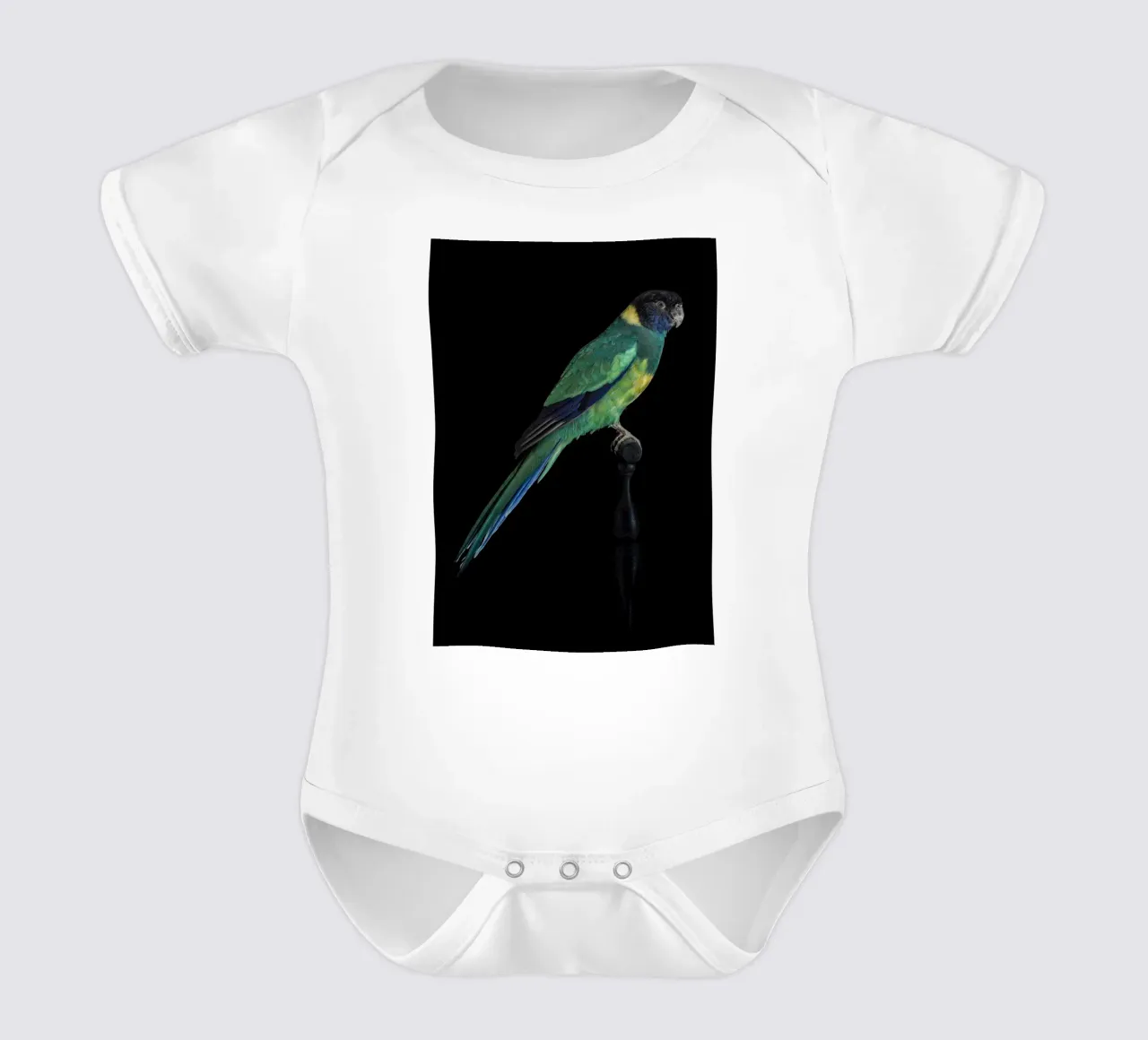 Pappagallini body neonato maniche corte da Curious Collections by Marielle Leenders