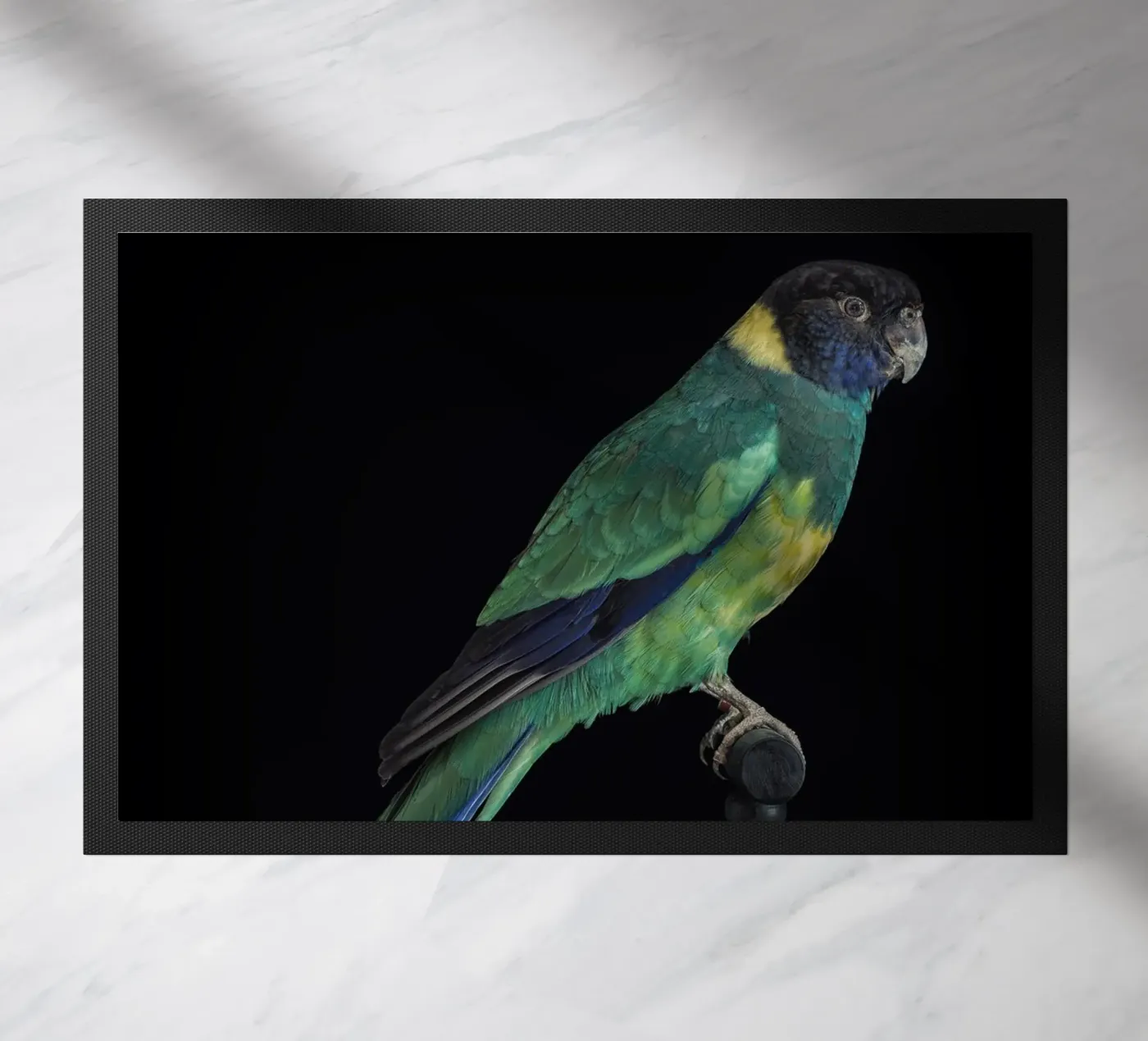 Parakeets doormat by Curious Collections by Marielle Leenders