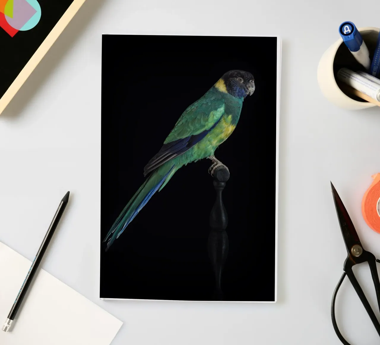 Pappagallini diario da Curious Collections by Marielle Leenders