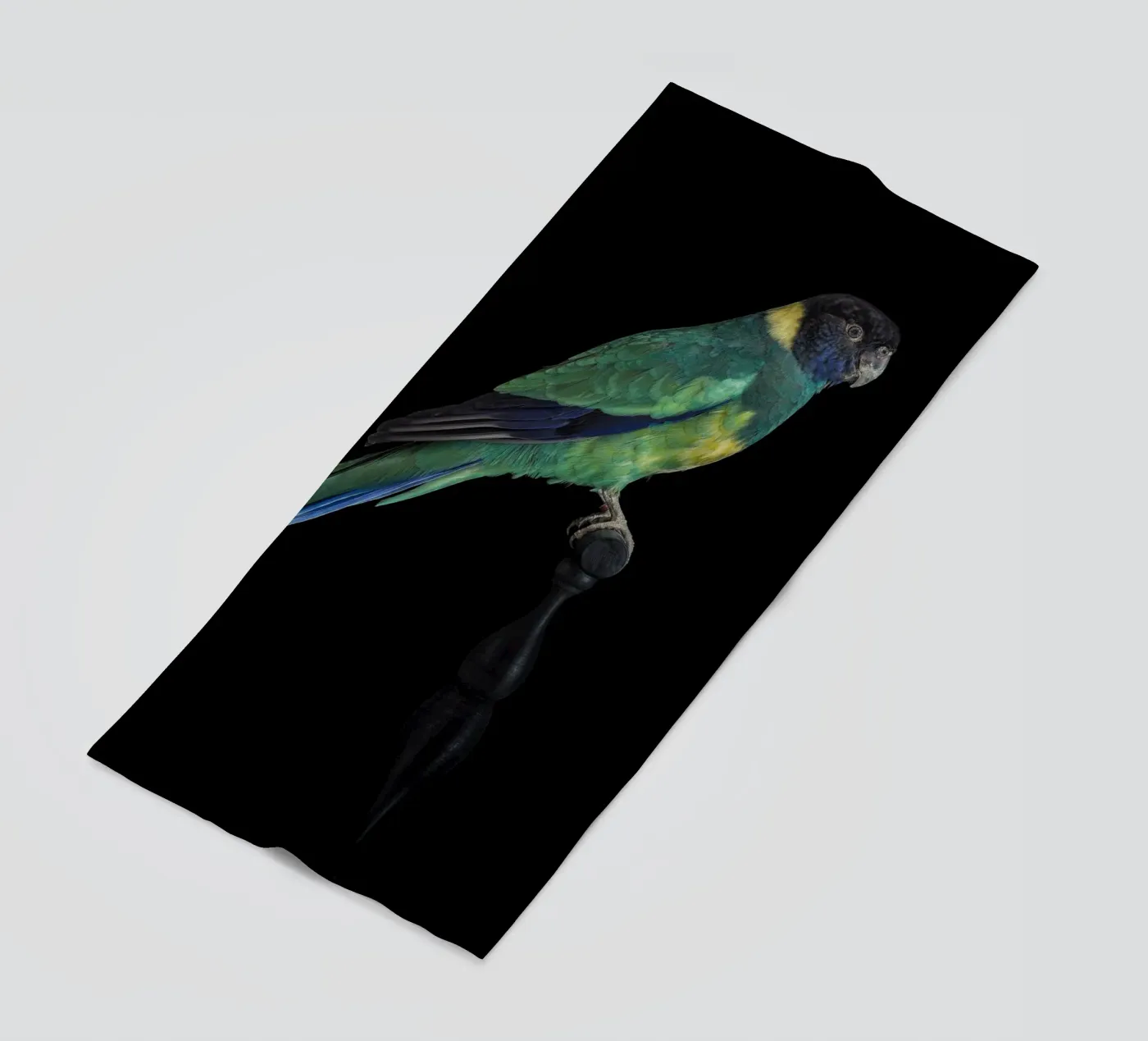 Parakeets beach towel by Curious Collections by Marielle Leenders