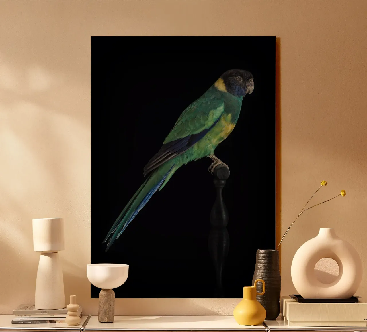 Pappagallini plexiglass da Curious Collections by Marielle Leenders