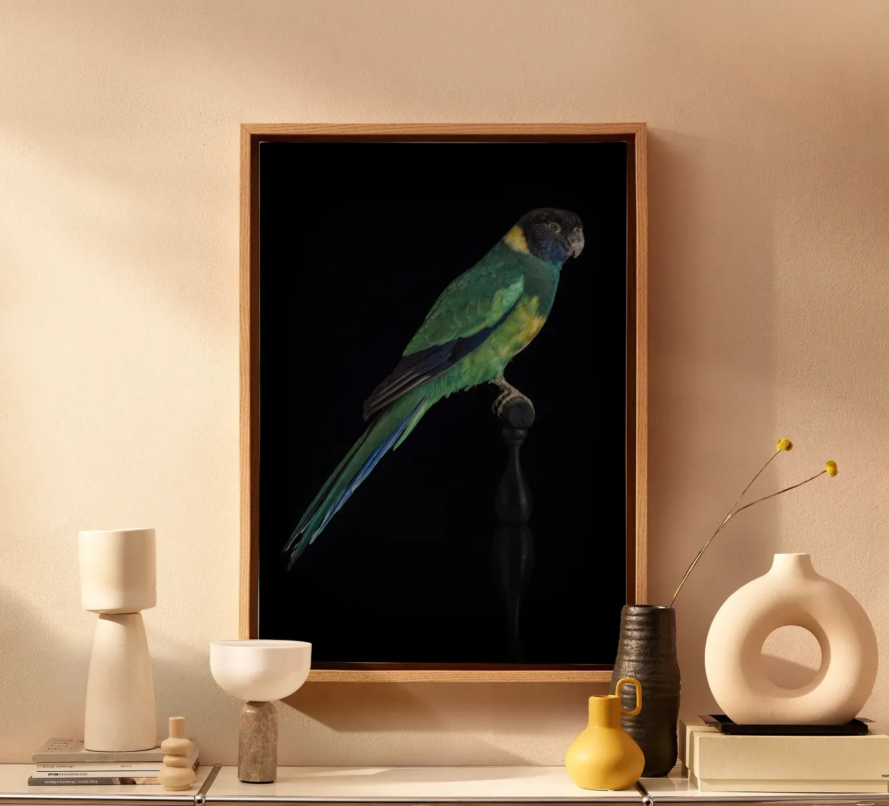 Pappagallini tela con Cornice a cassetta da Curious Collections by Marielle Leenders