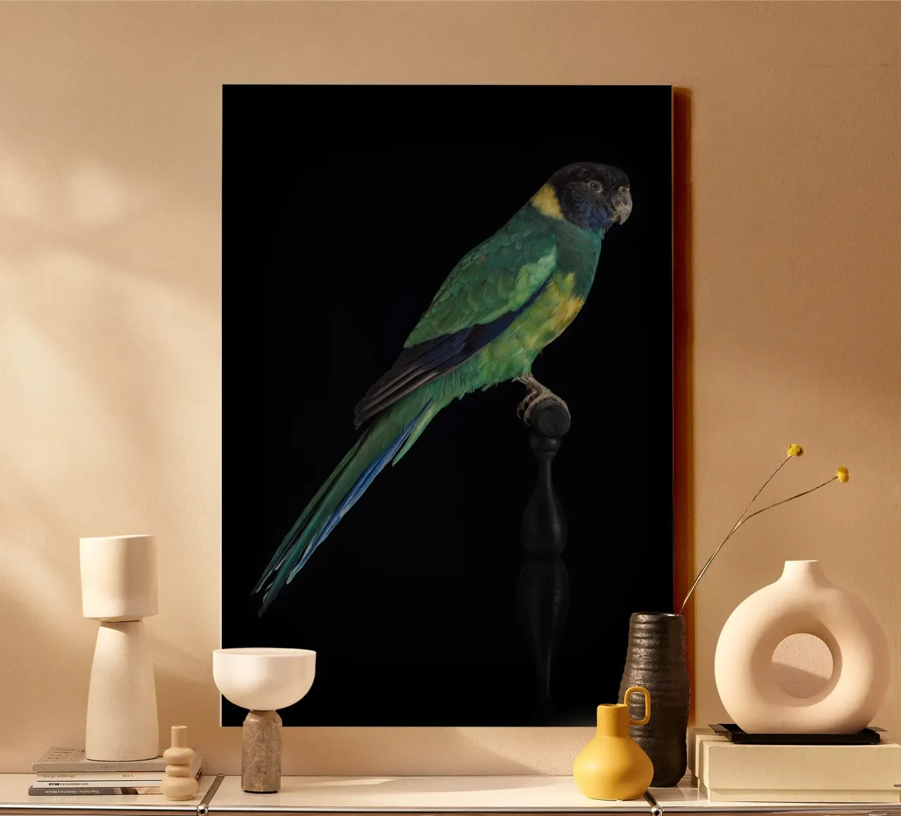 Pappagallini tela con Cornice a cassetta da Curious Collections by Marielle Leenders