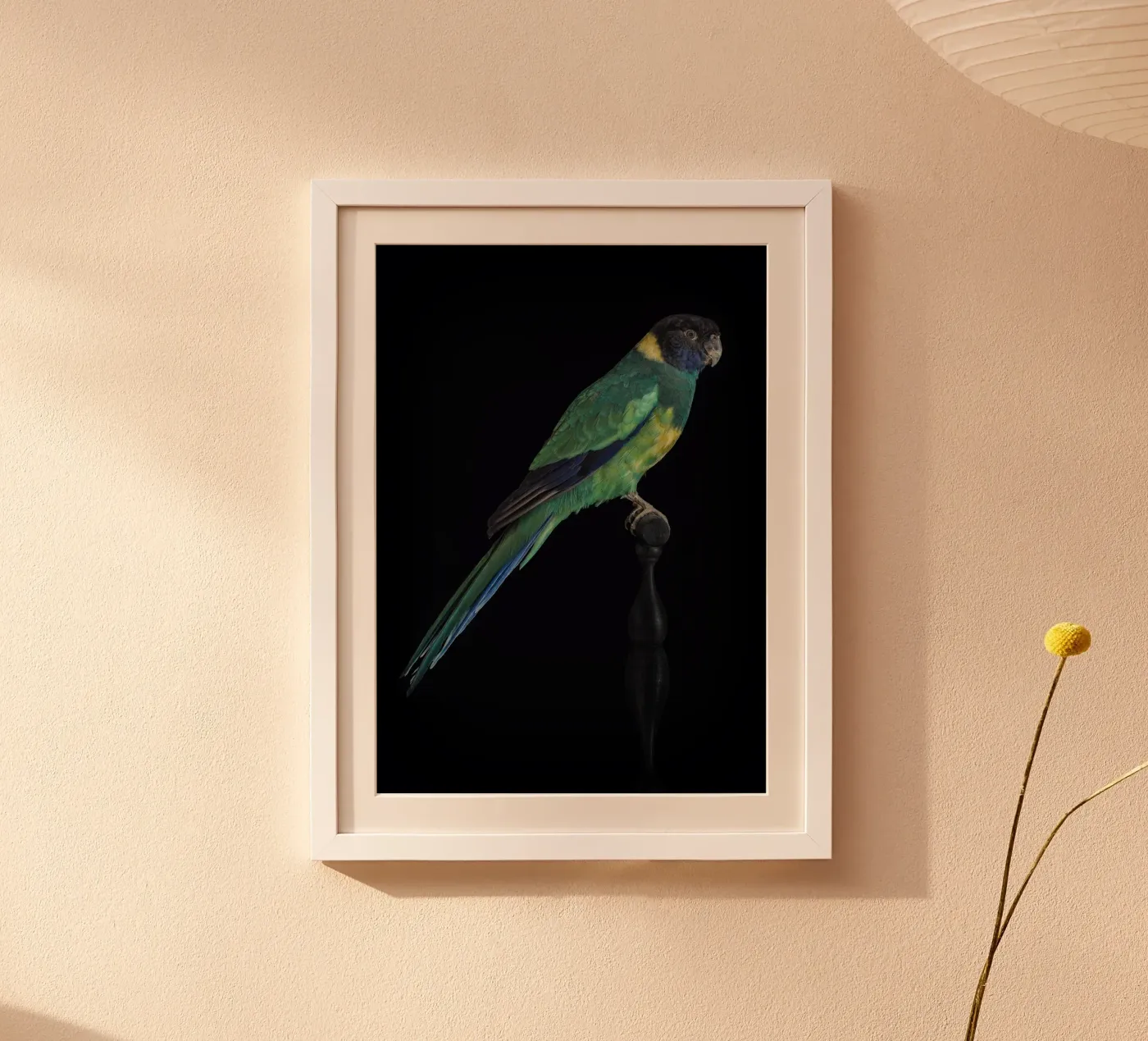 Parakeets poster by Curious Collections by Marielle Leenders