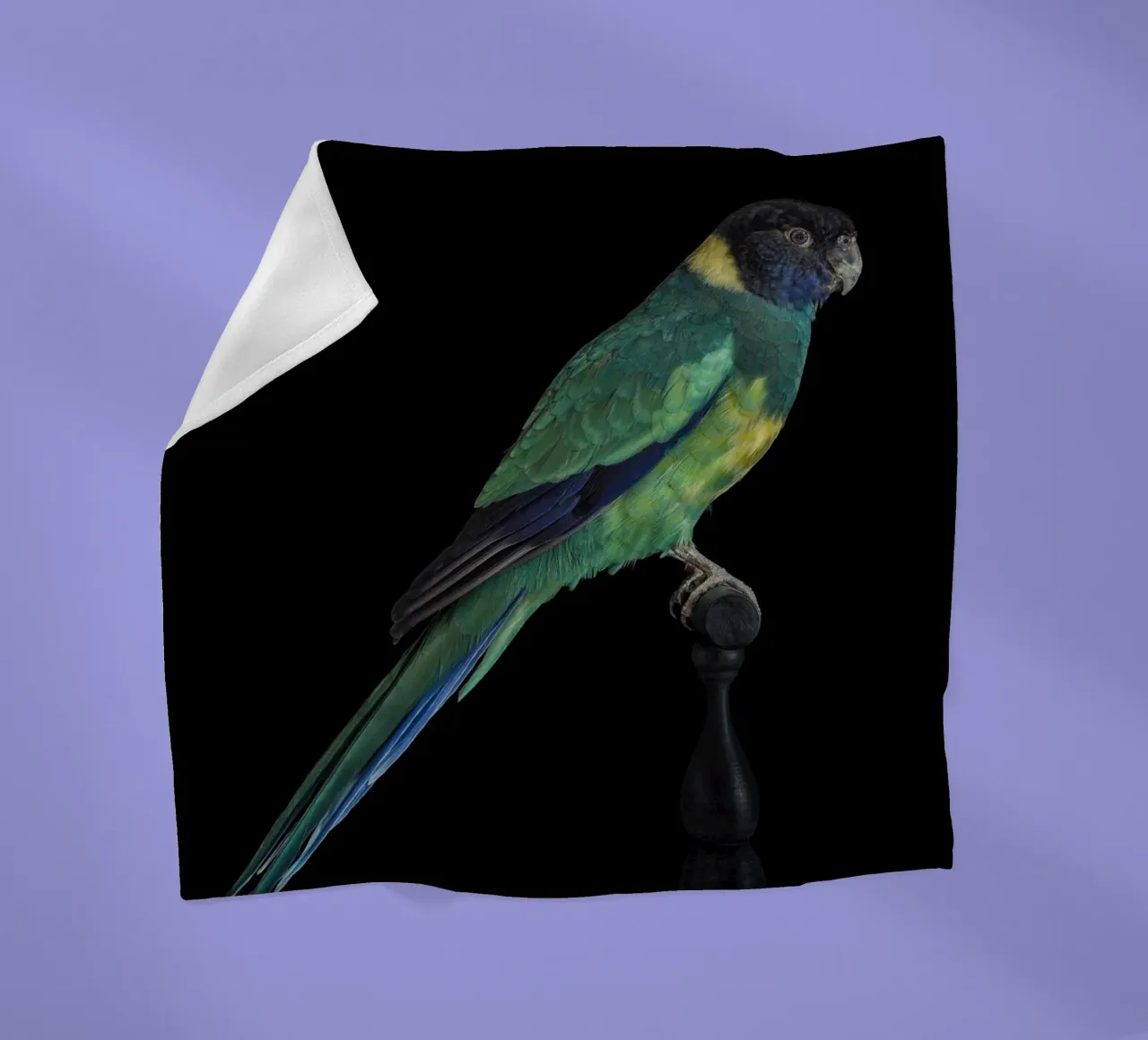 Sittiche Fleecedecke von Curious Collections by Marielle Leenders