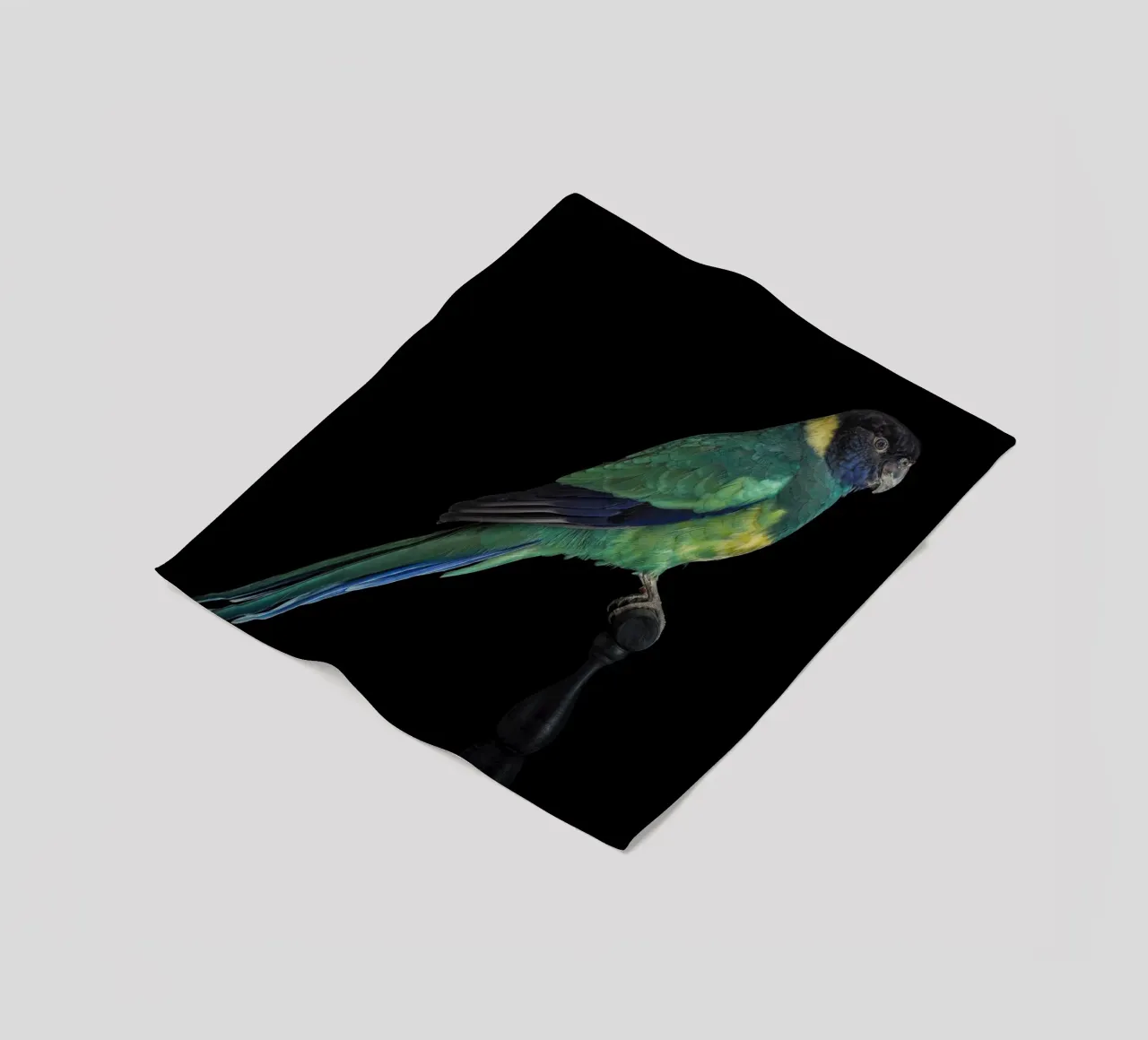 Sittiche Fleecedecke von Curious Collections by Marielle Leenders