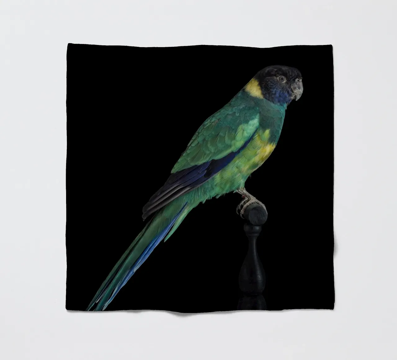 Sittiche Fleecedecke von Curious Collections by Marielle Leenders