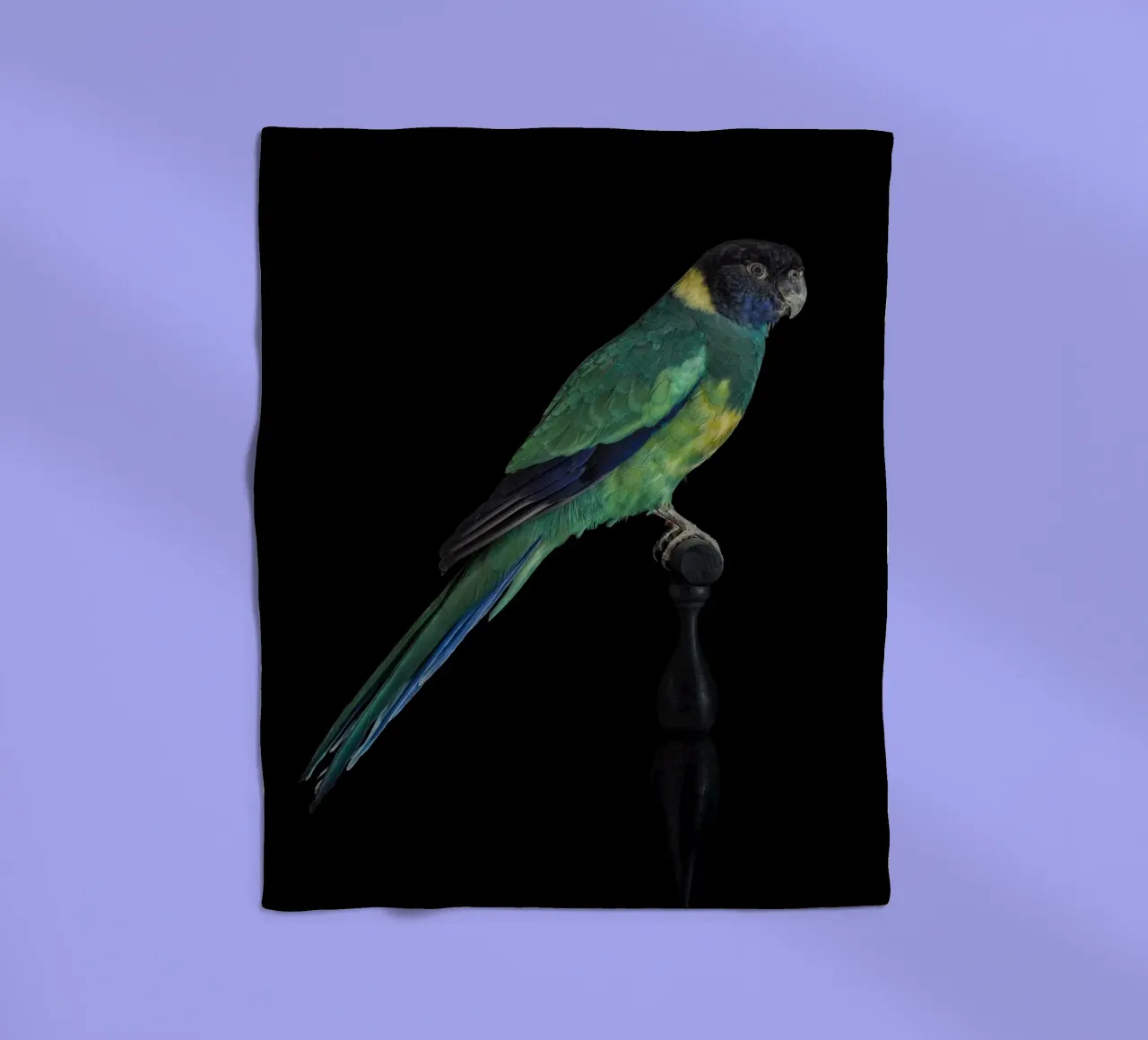 Sittiche Fleecedecke von Curious Collections by Marielle Leenders